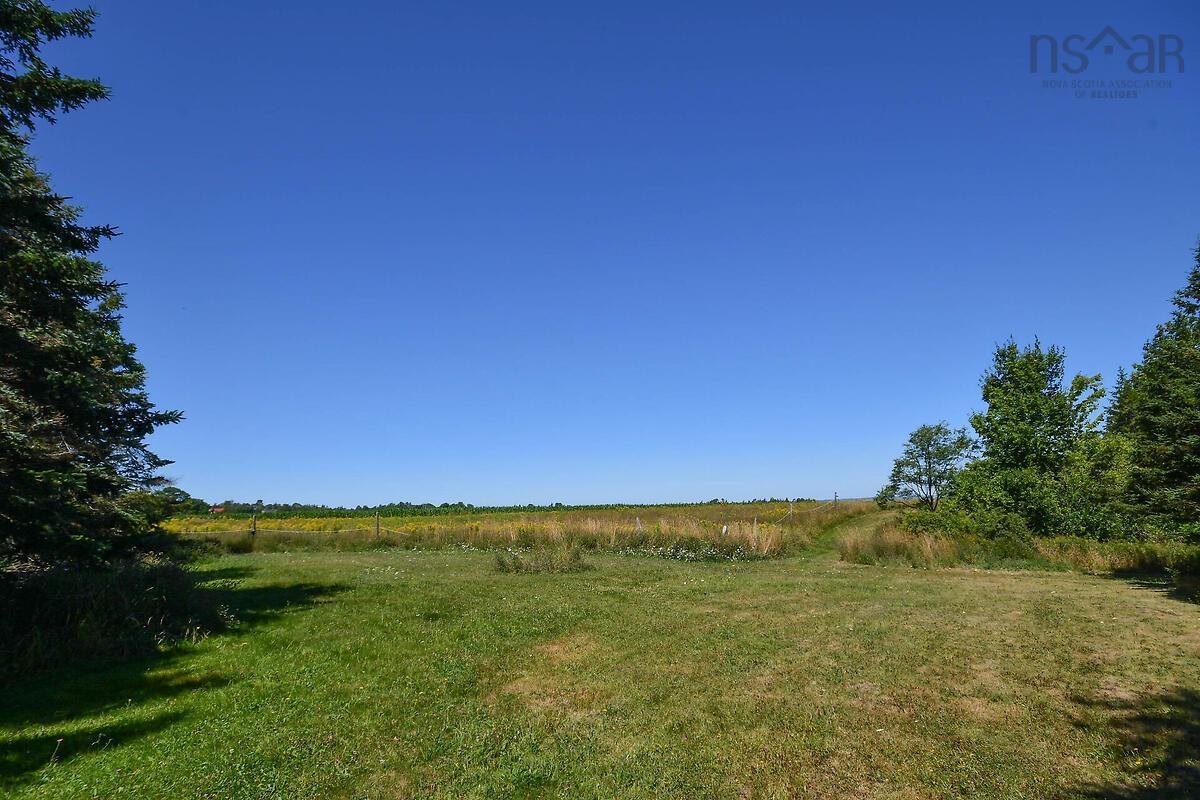 View image 35