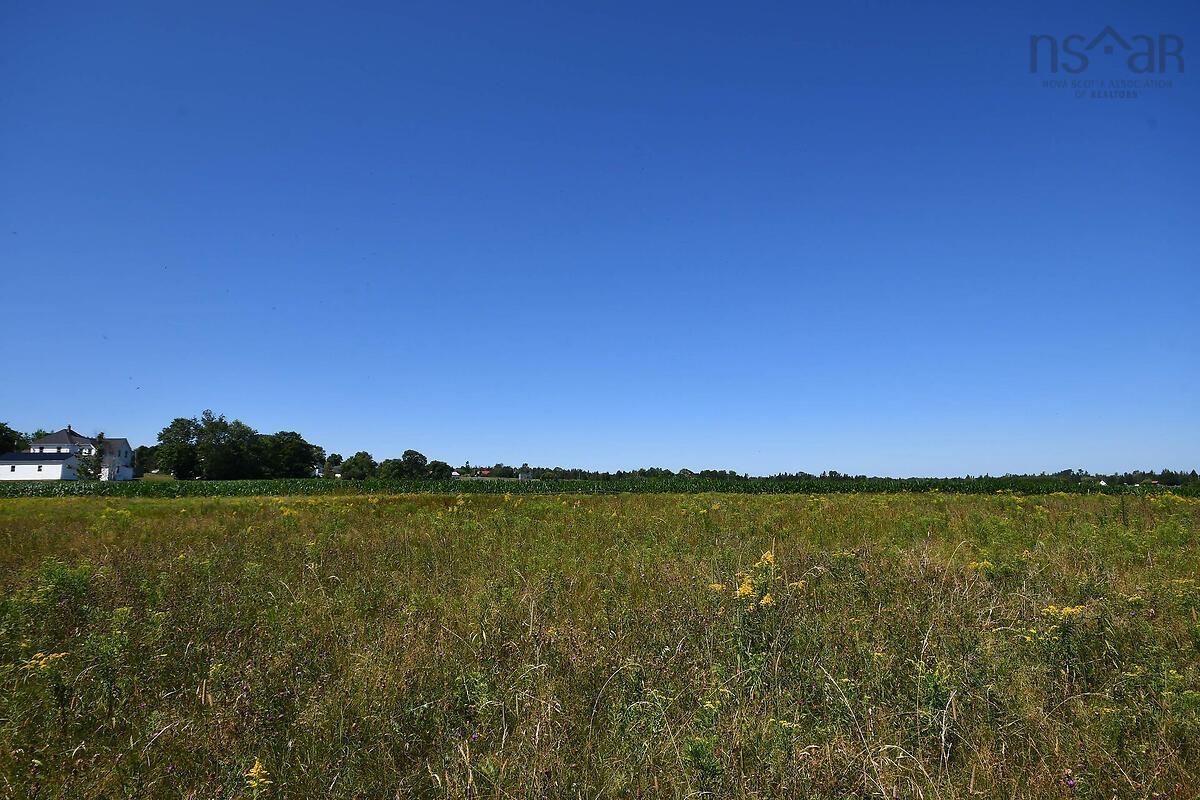 View image 40