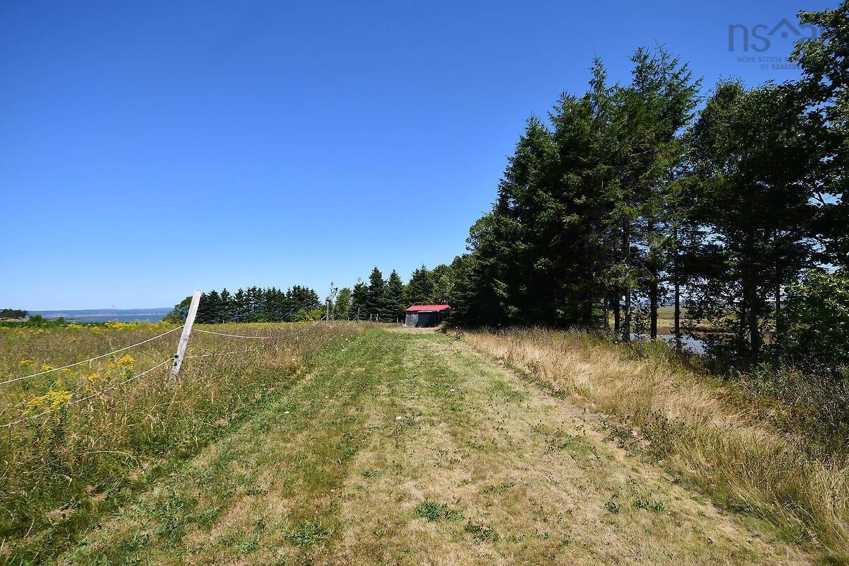 View image 41