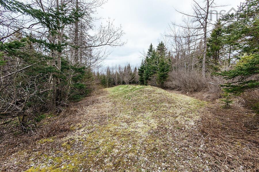 View image 45