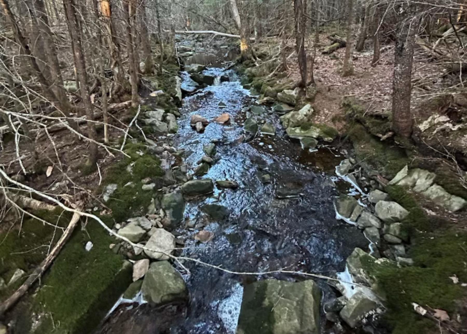 View image 46