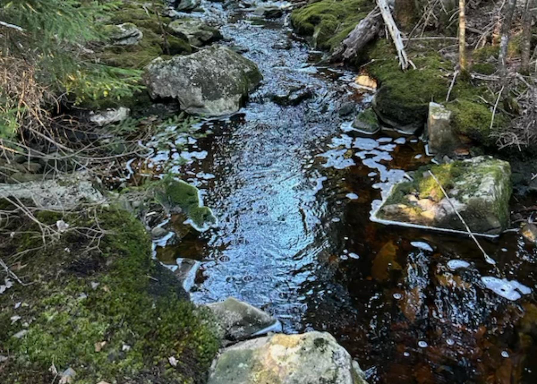 View image 48