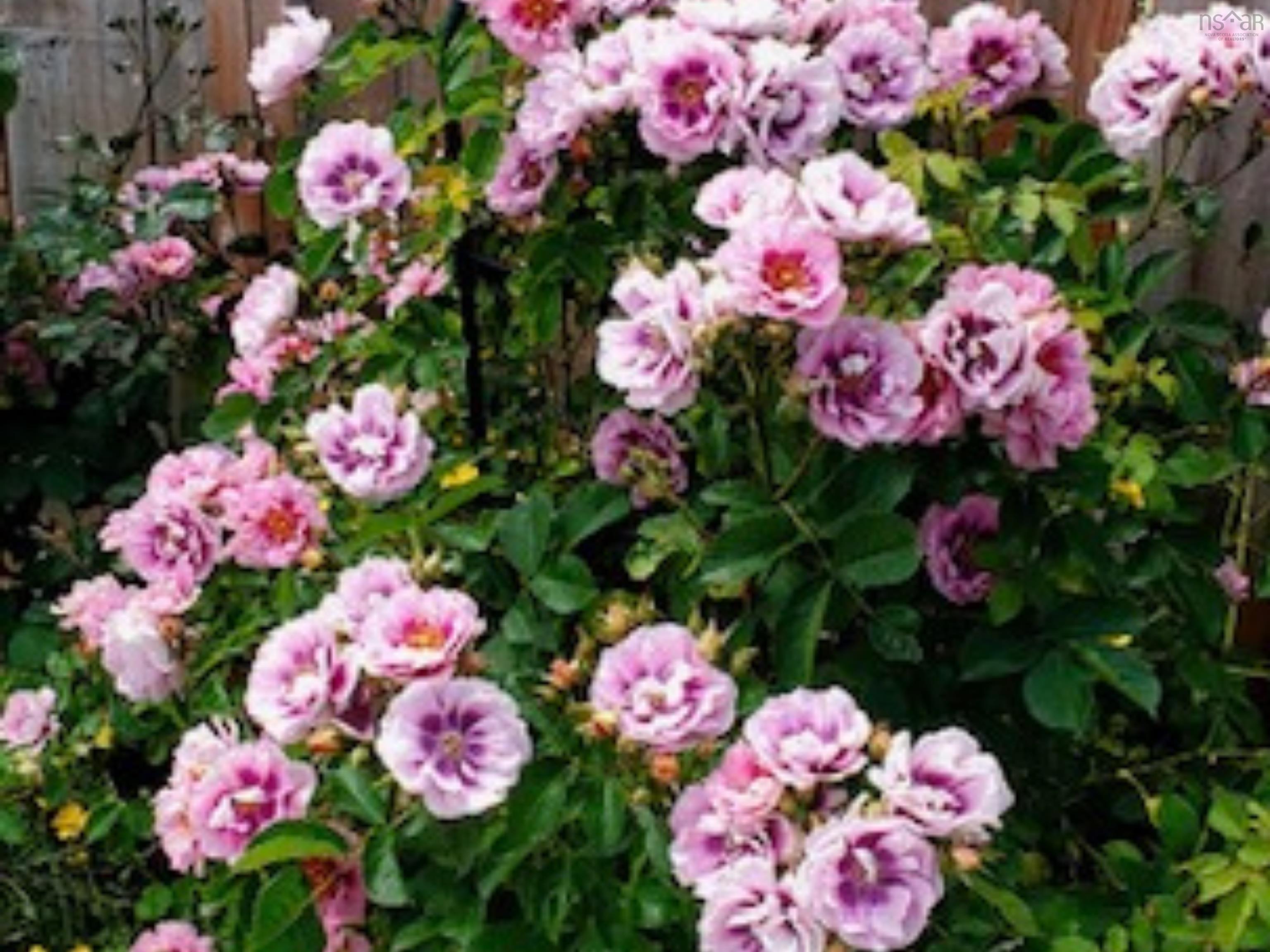 View image 23