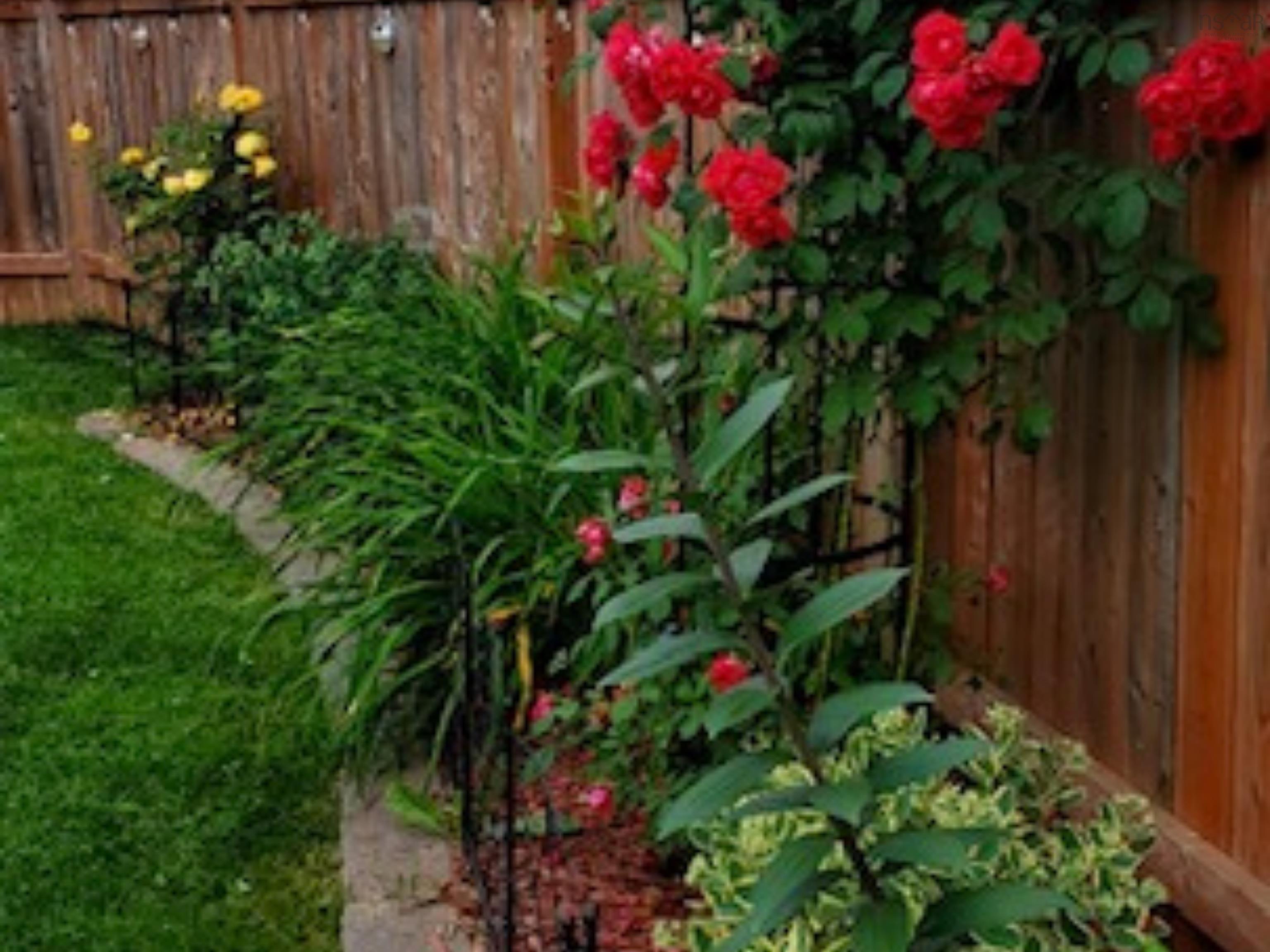 View image 24