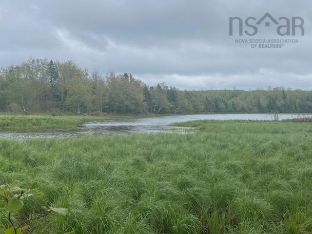 View image 15