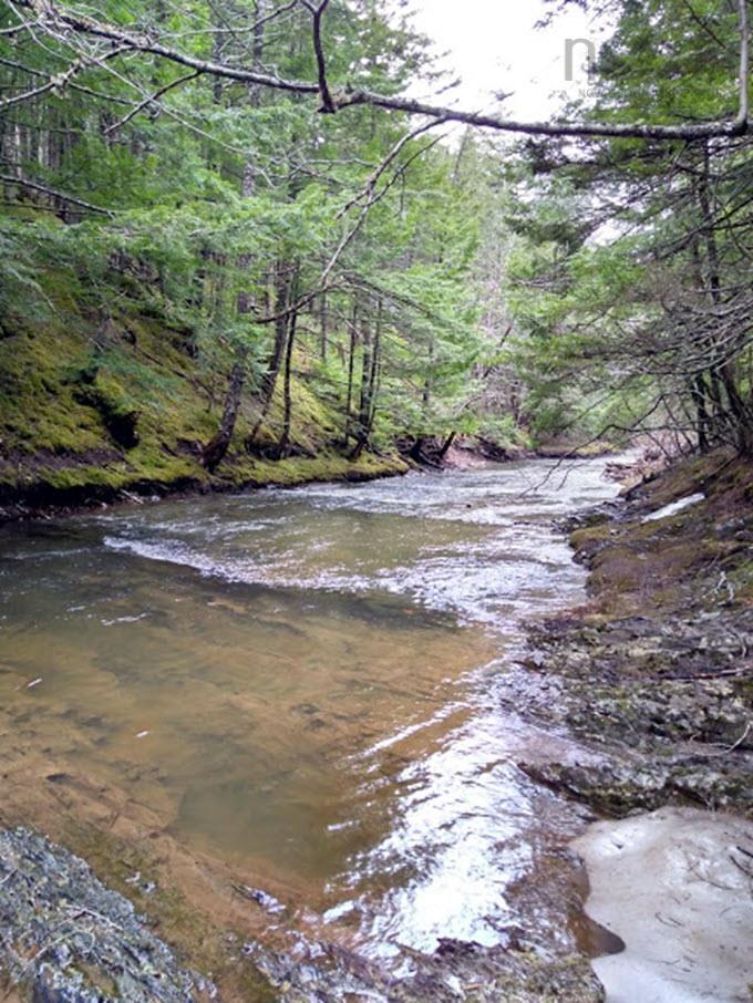 View image 42