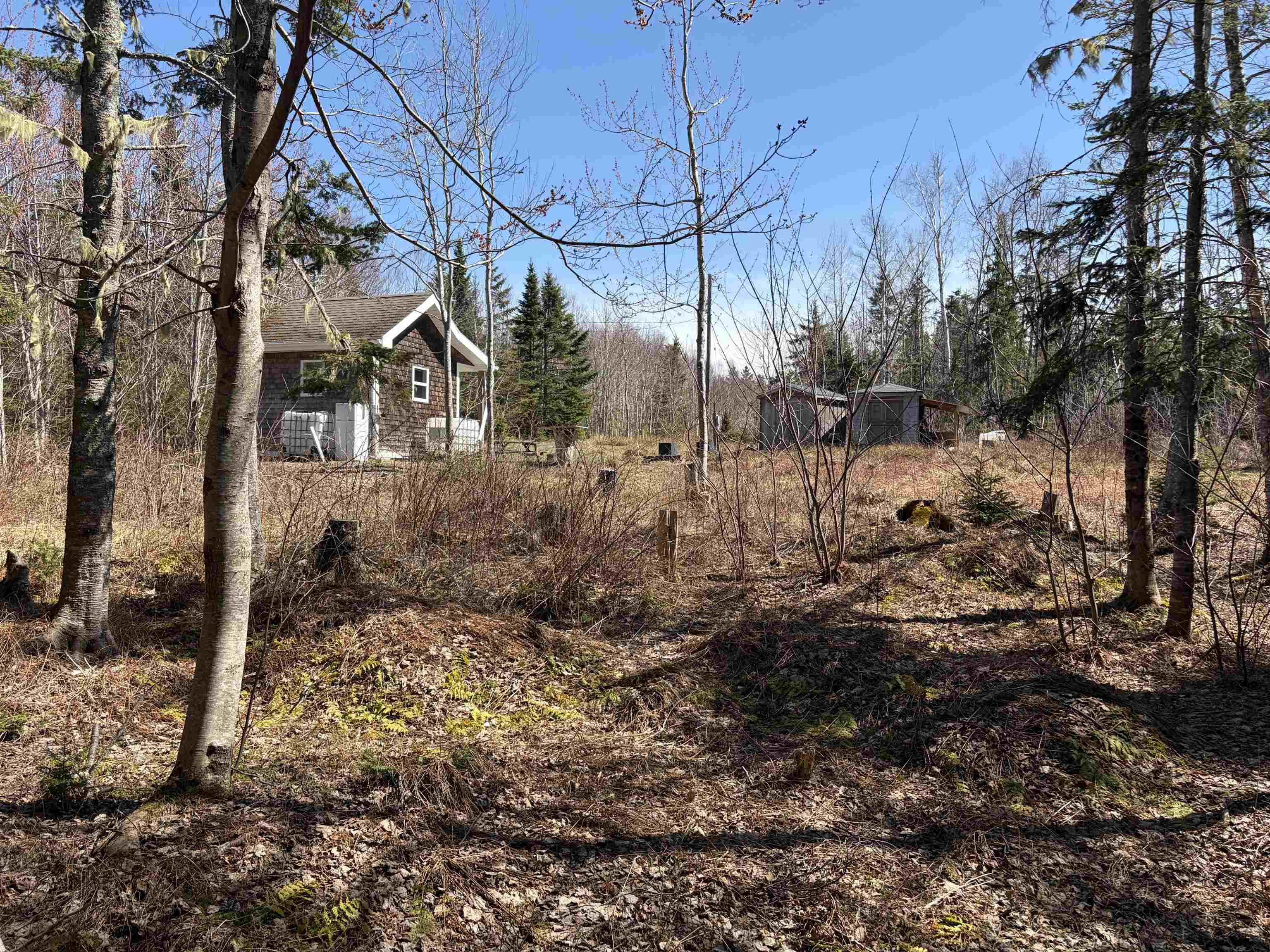 View image 16