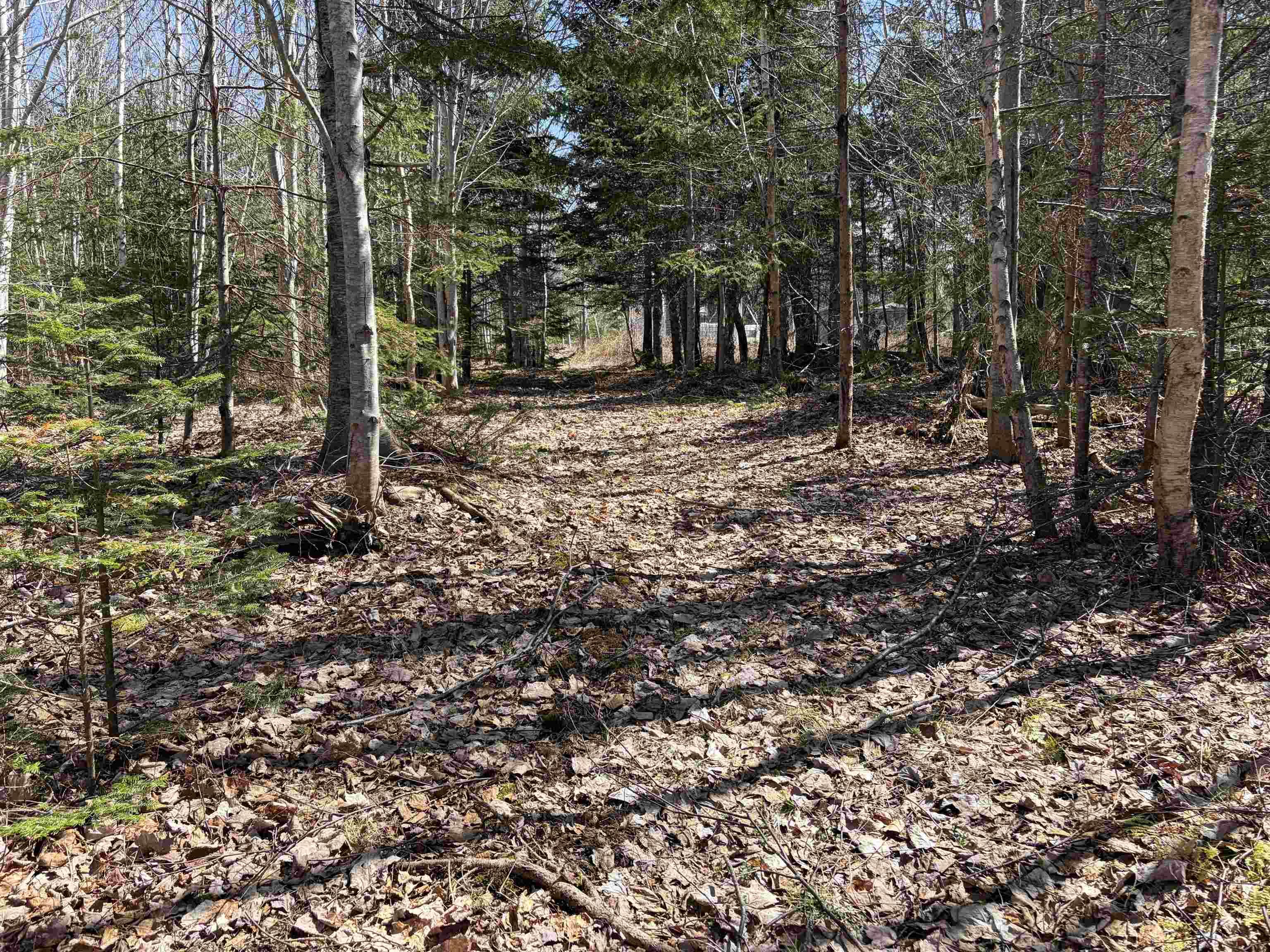 View image 17