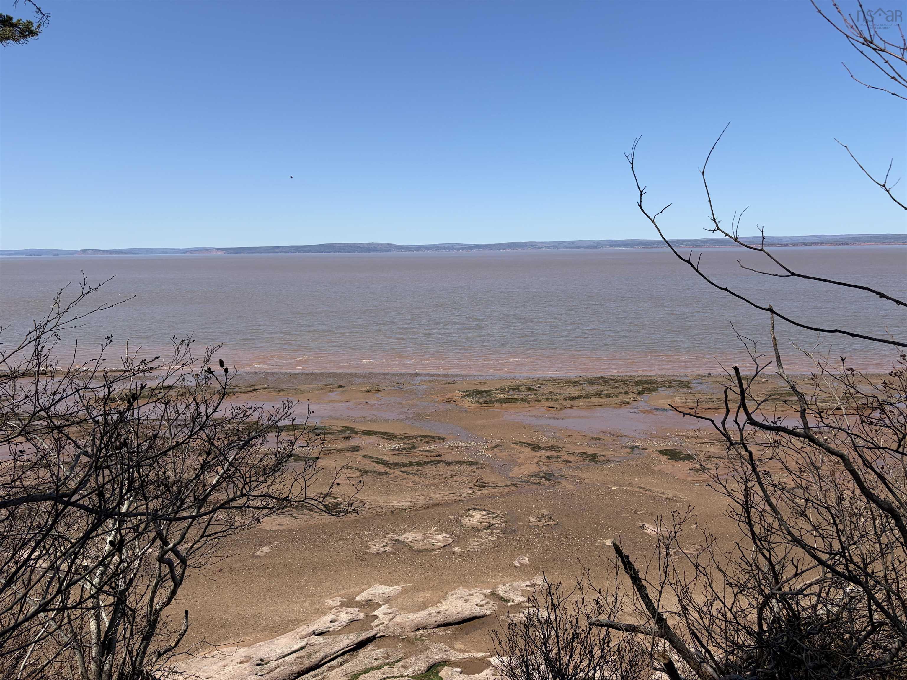 View image 18