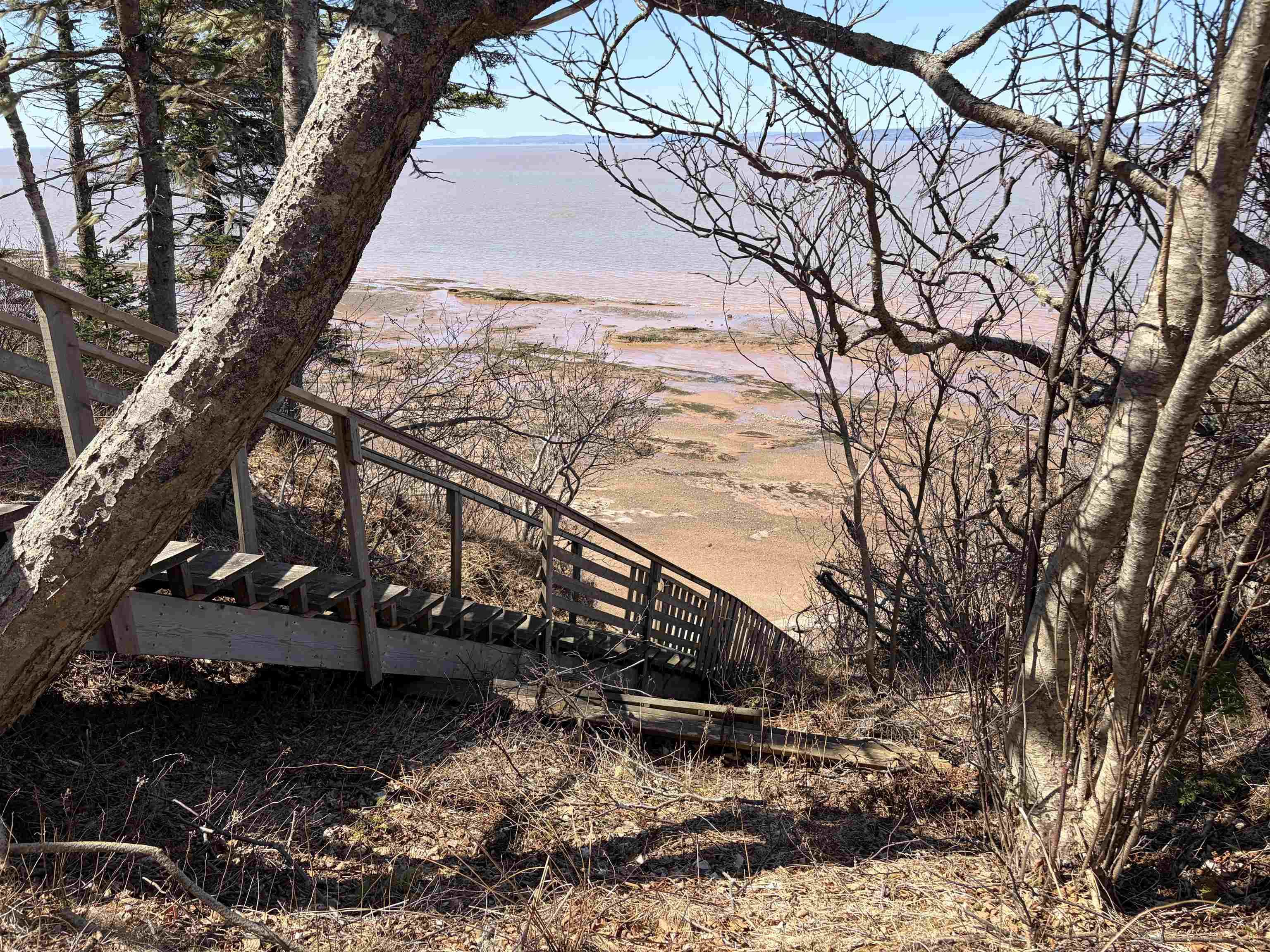 View image 20