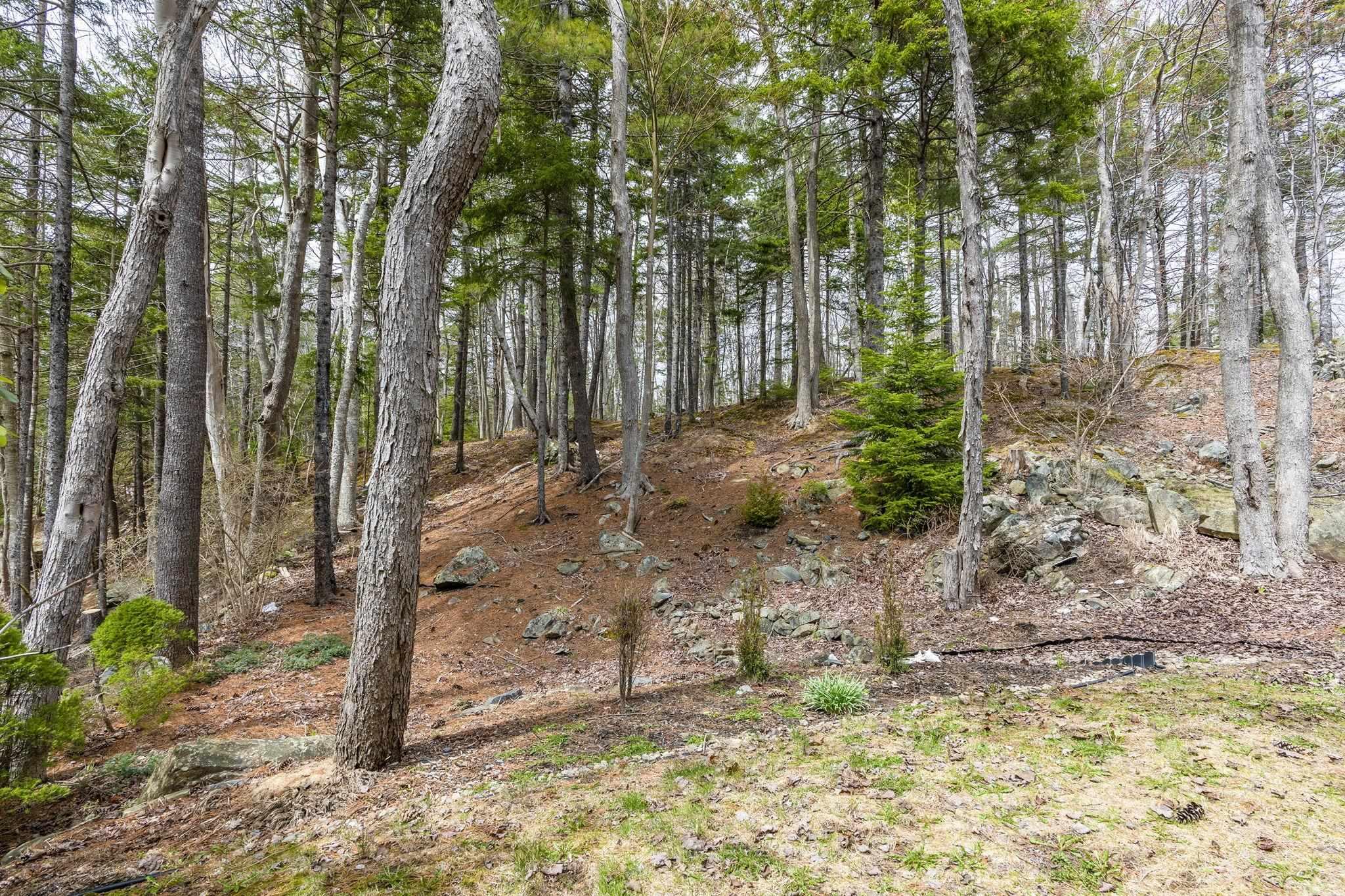 View image 41