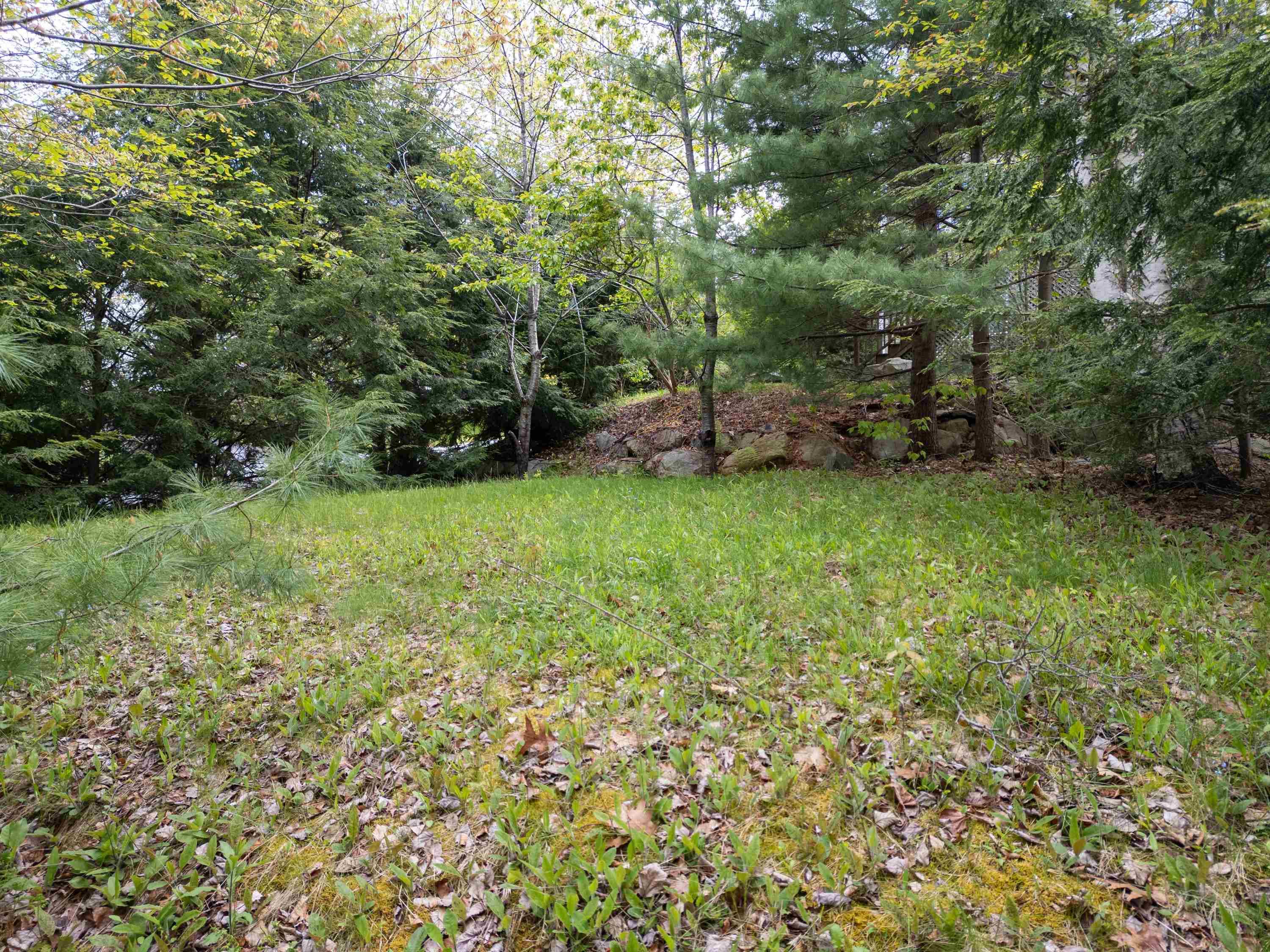 View image 46