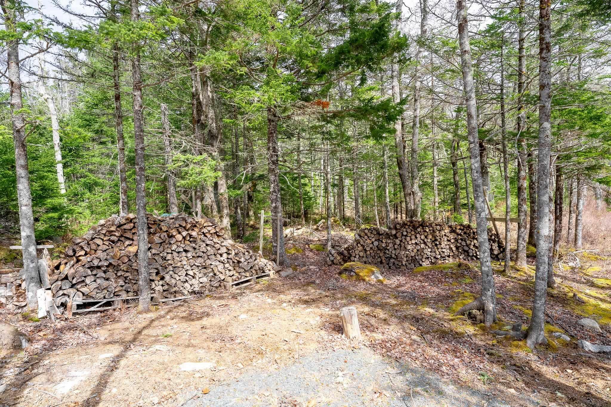 View image 12