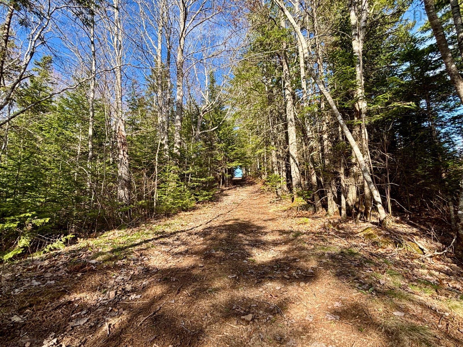 View image 45