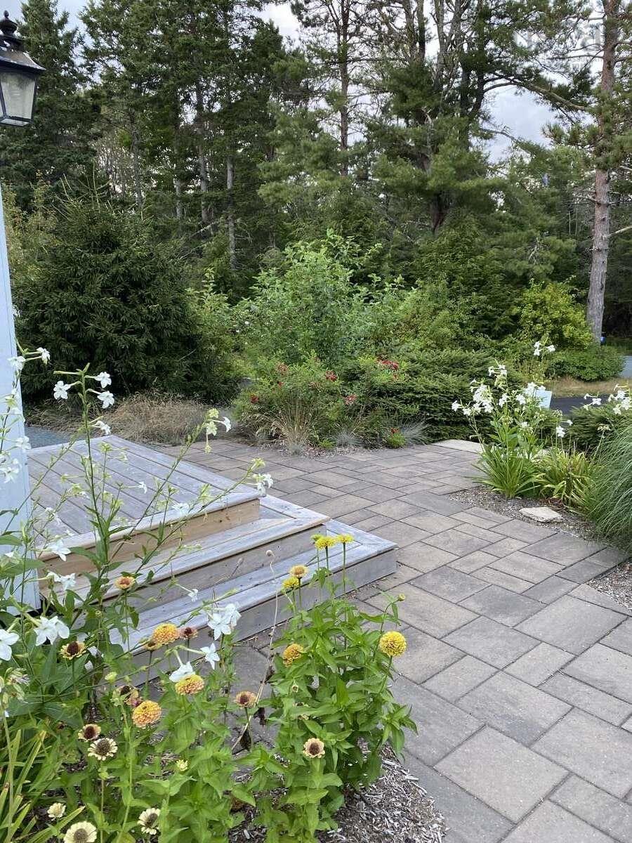 View image 45