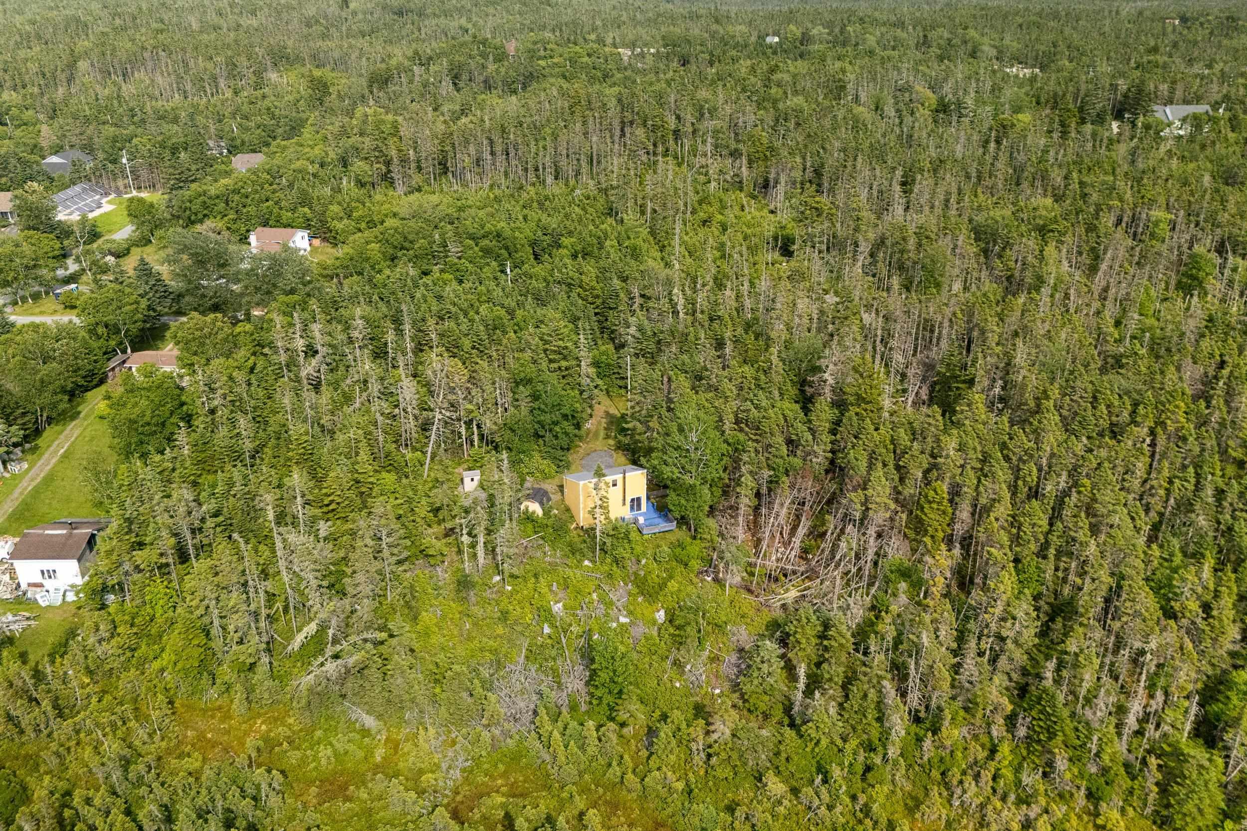 View image 40