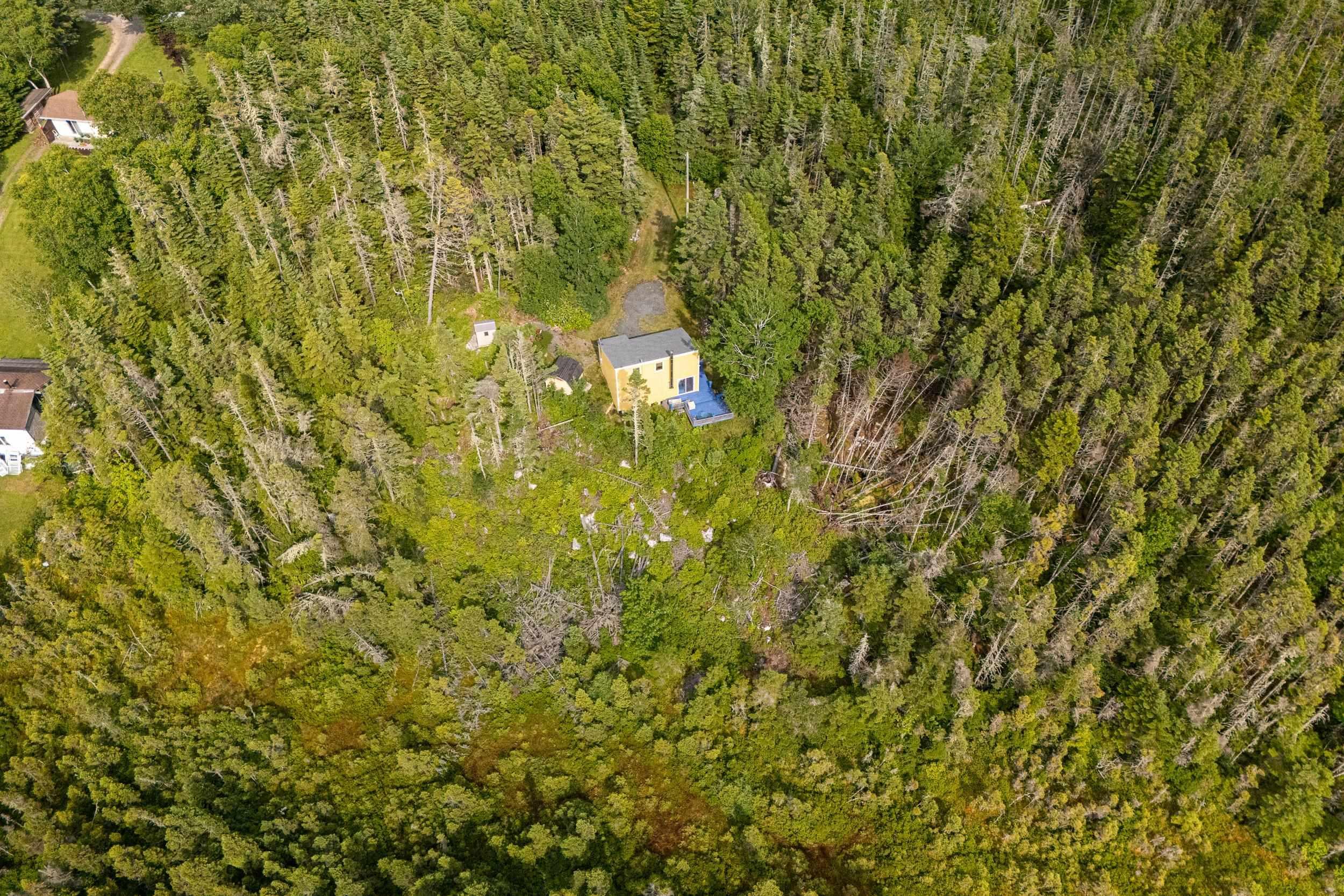View image 41