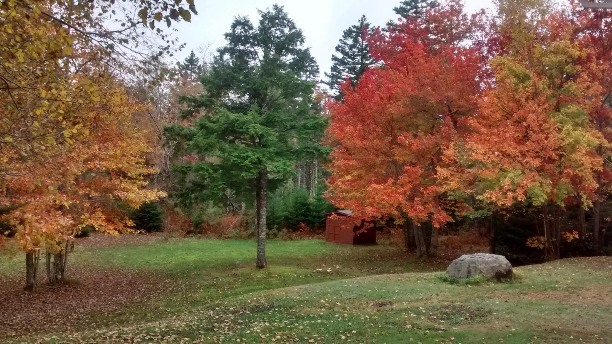 View image 8