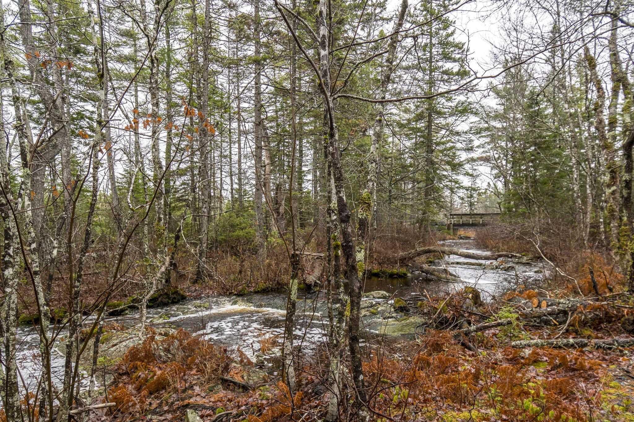 View image 50