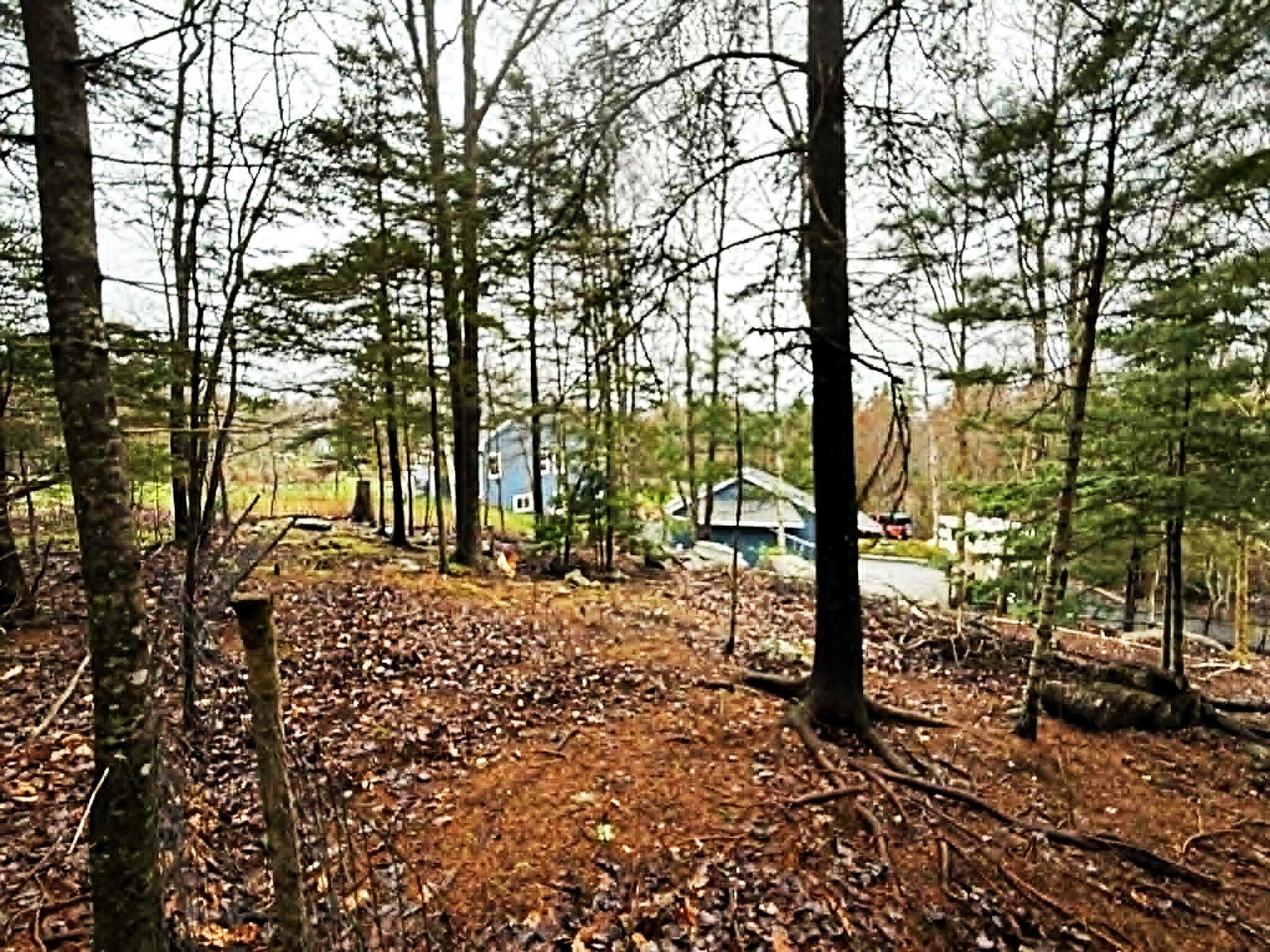 View image 37