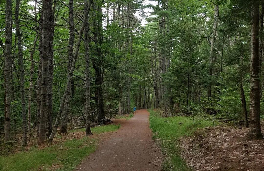 View image 47