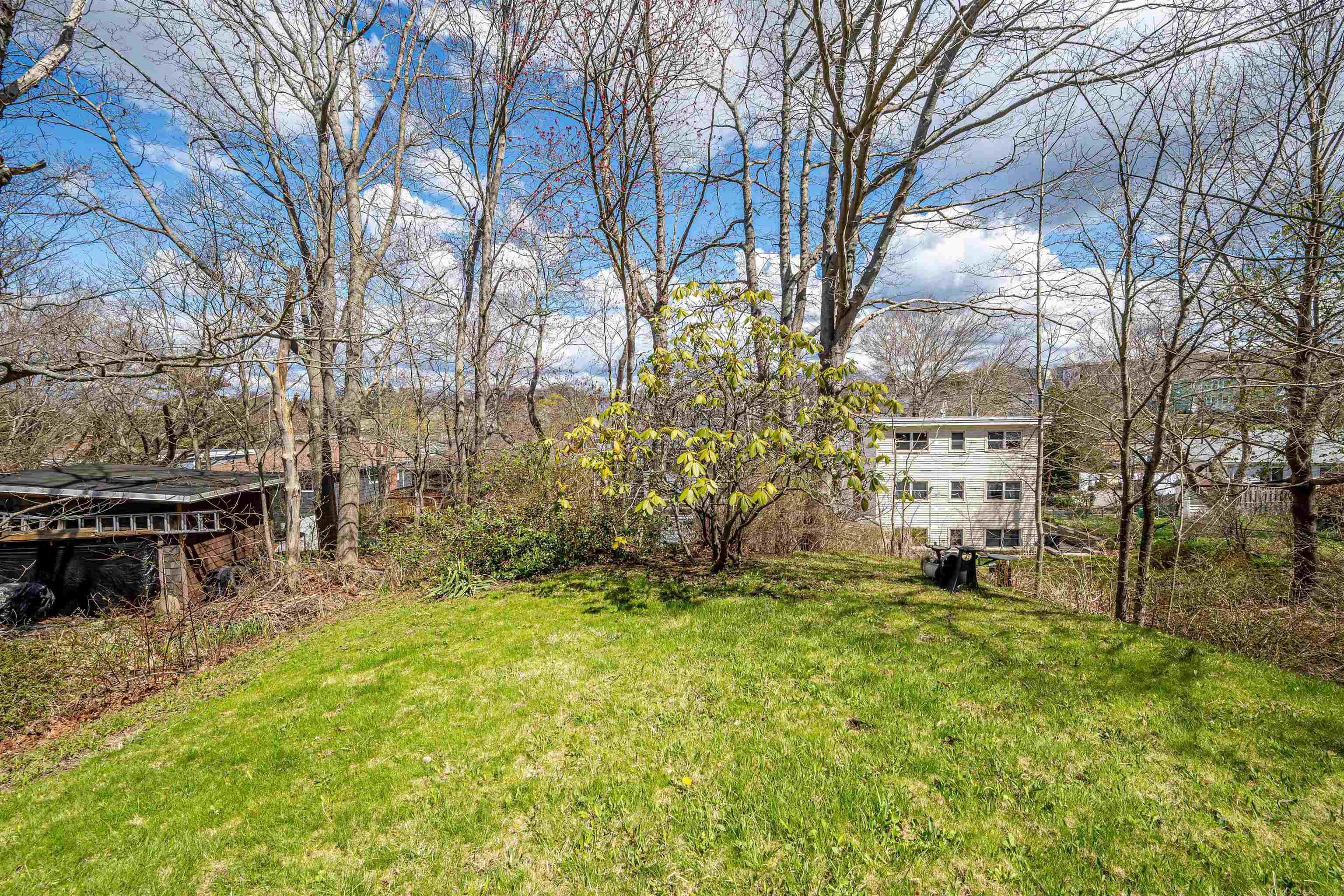 View image 40