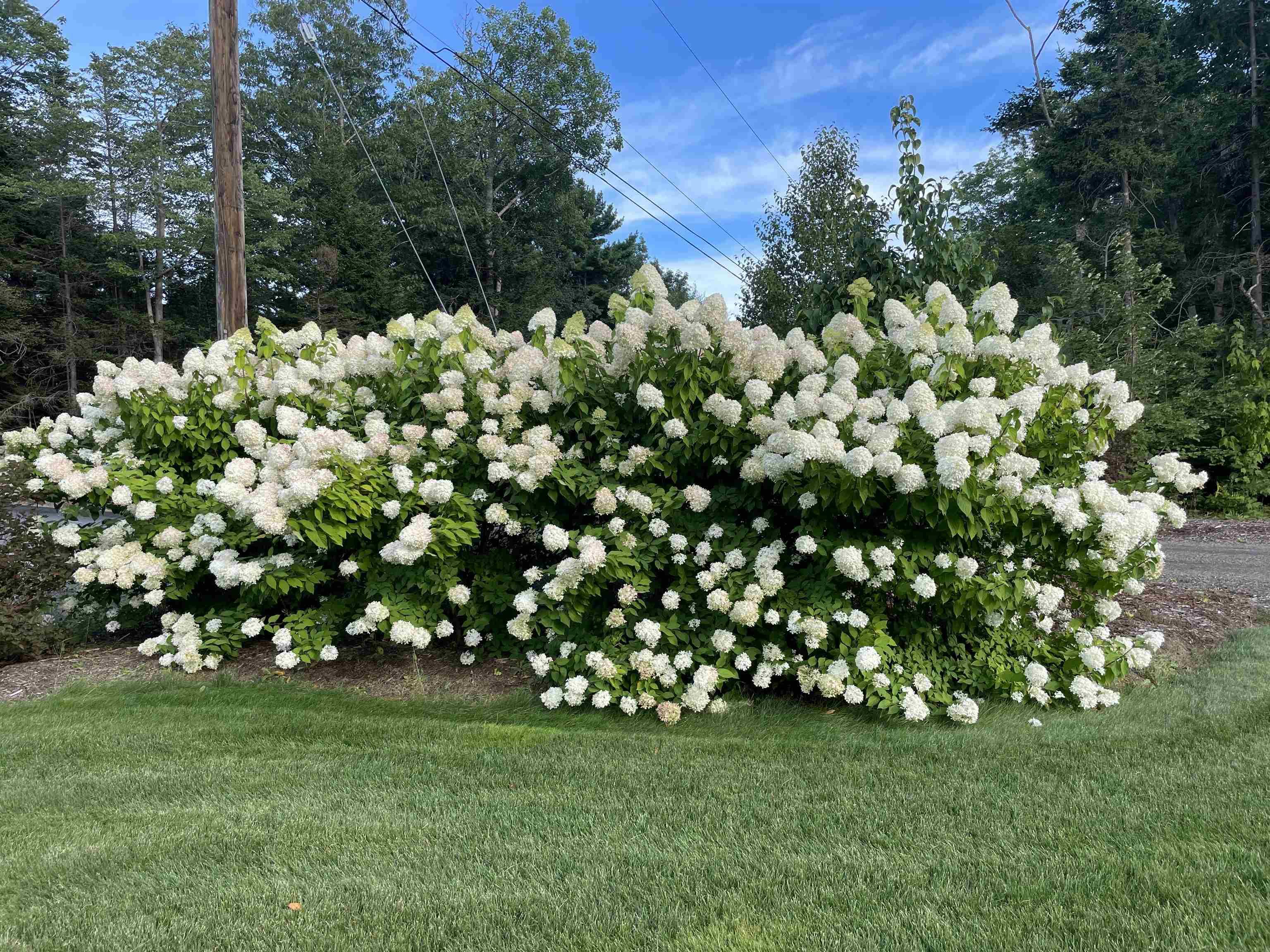 View image 41