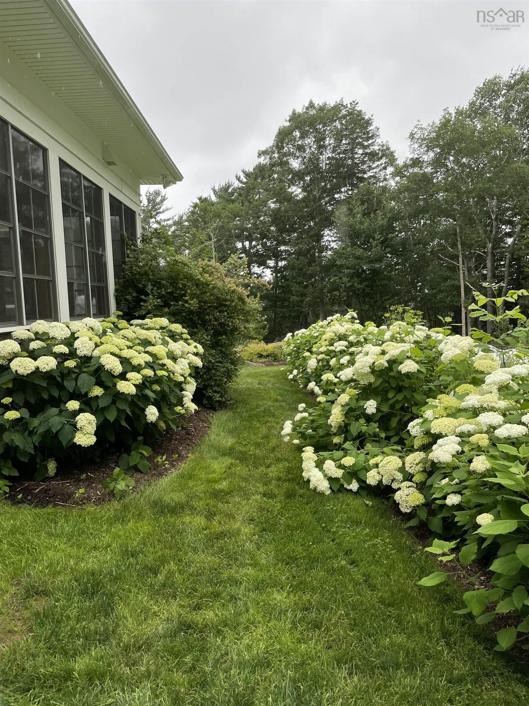 View image 45