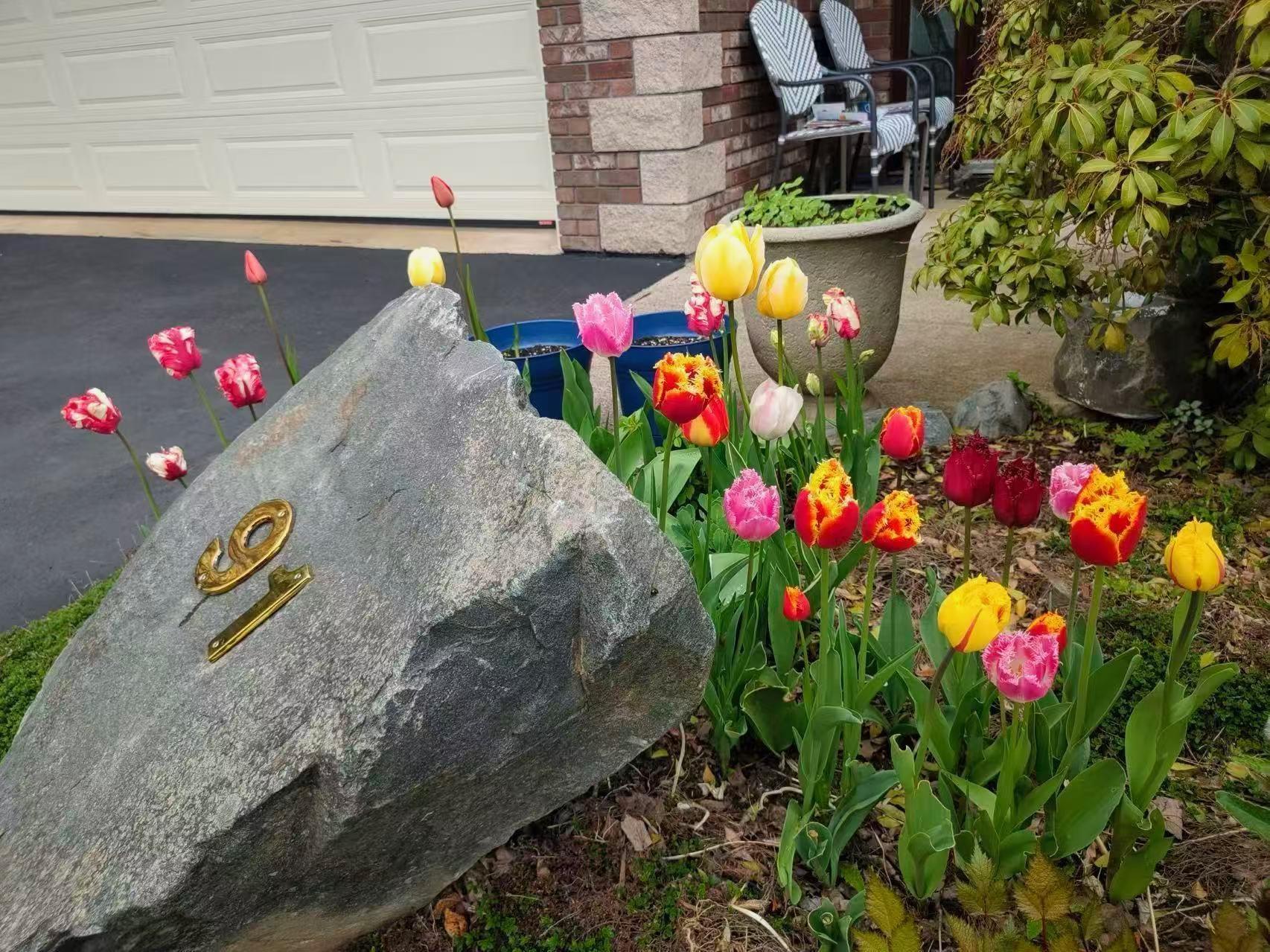 View image 42