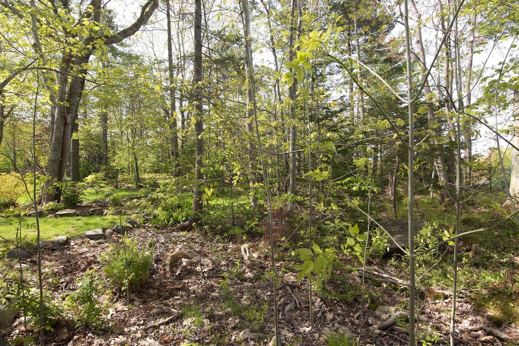 View image 50