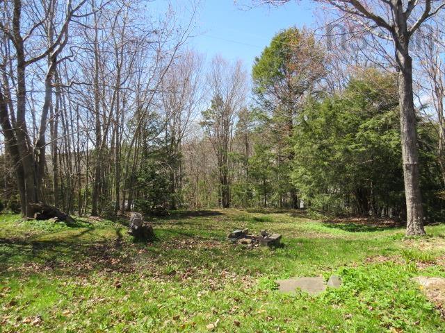View image 43
