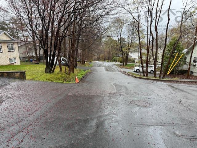 View image 12