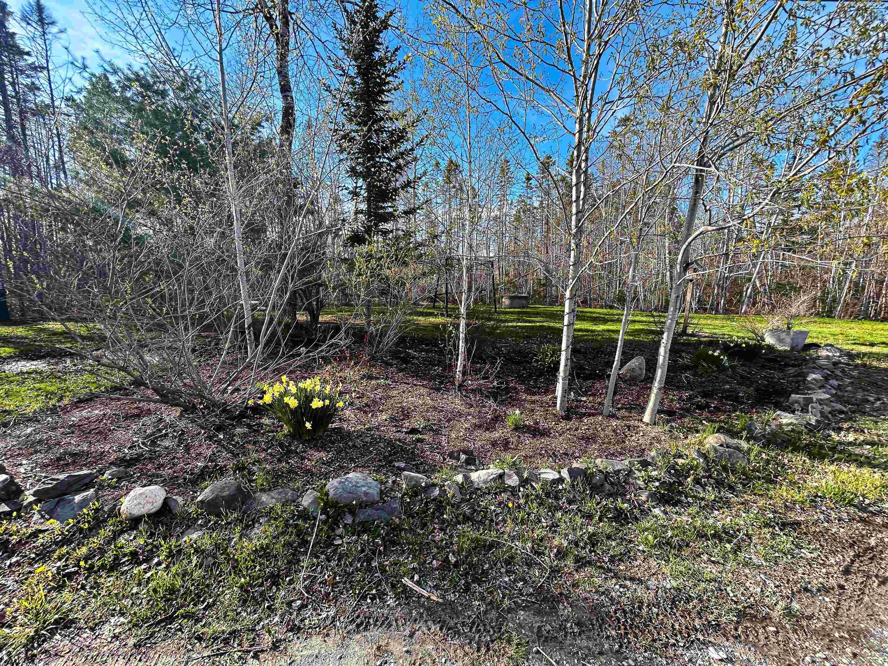 View image 4