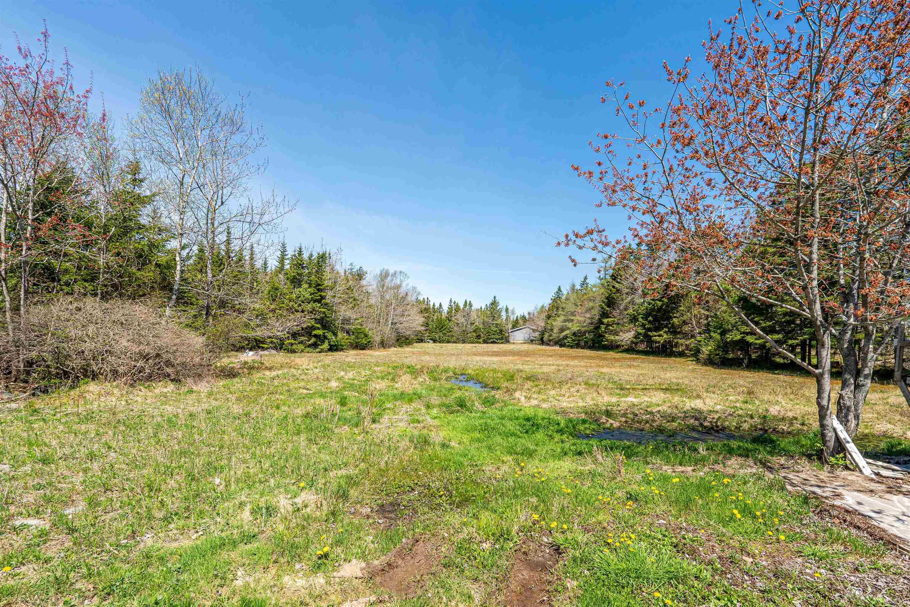 View image 37