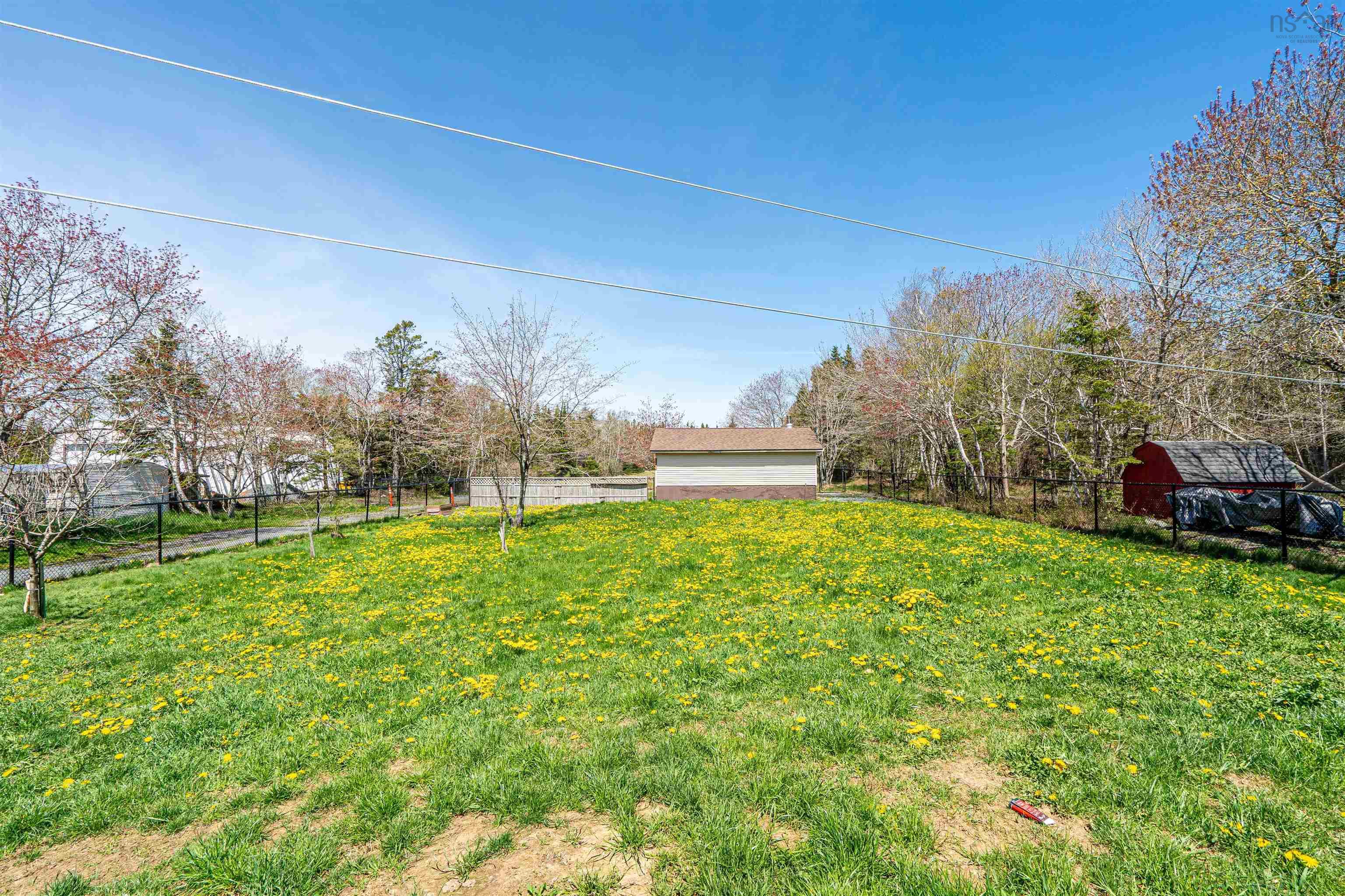 View image 40