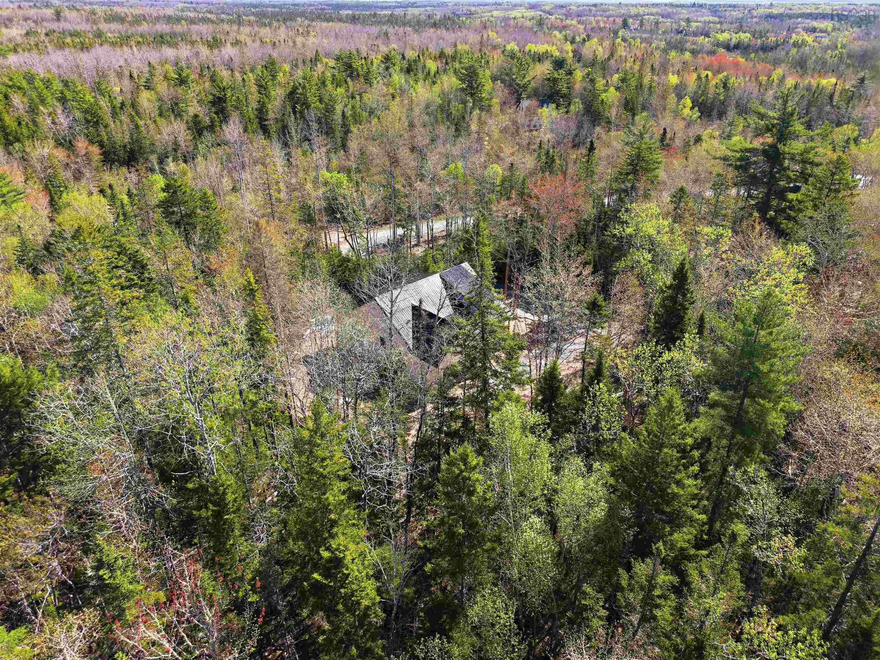 View image 11