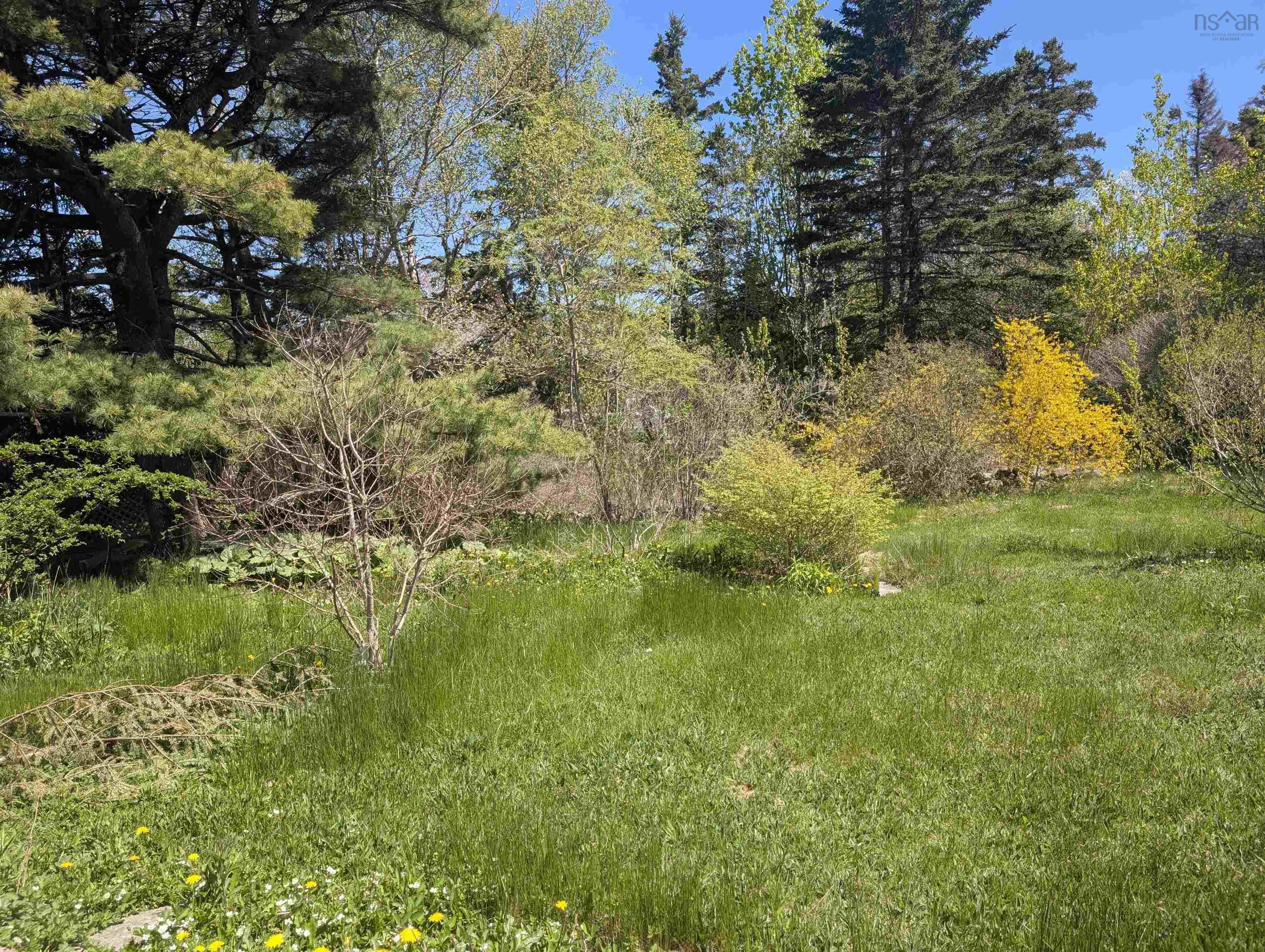 View image 30