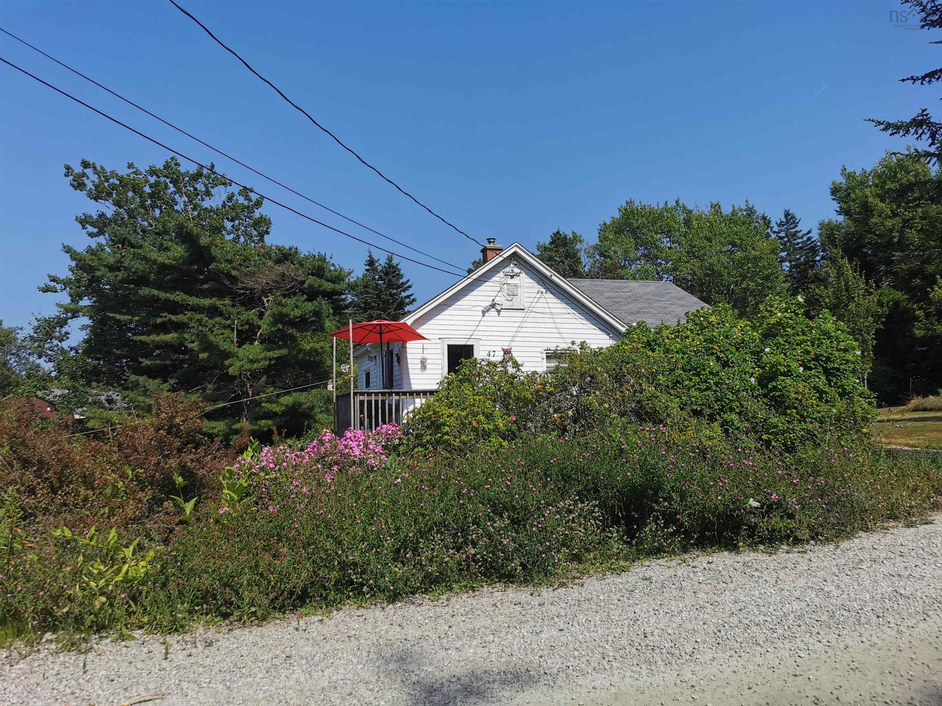 View image 4