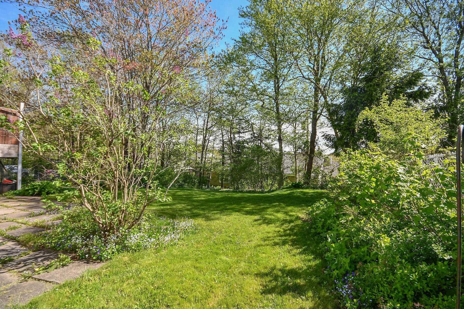 View image 41