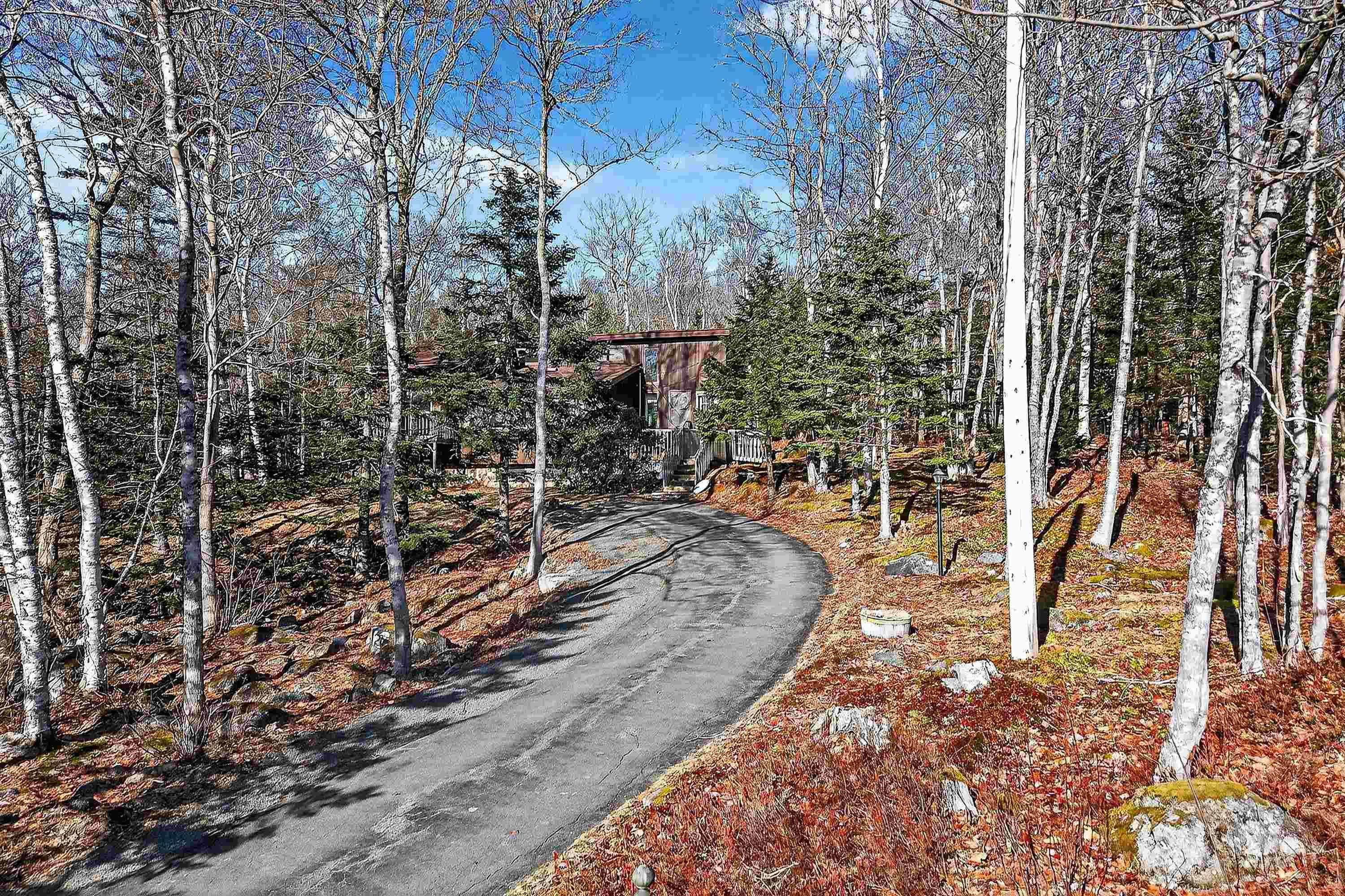View image 4