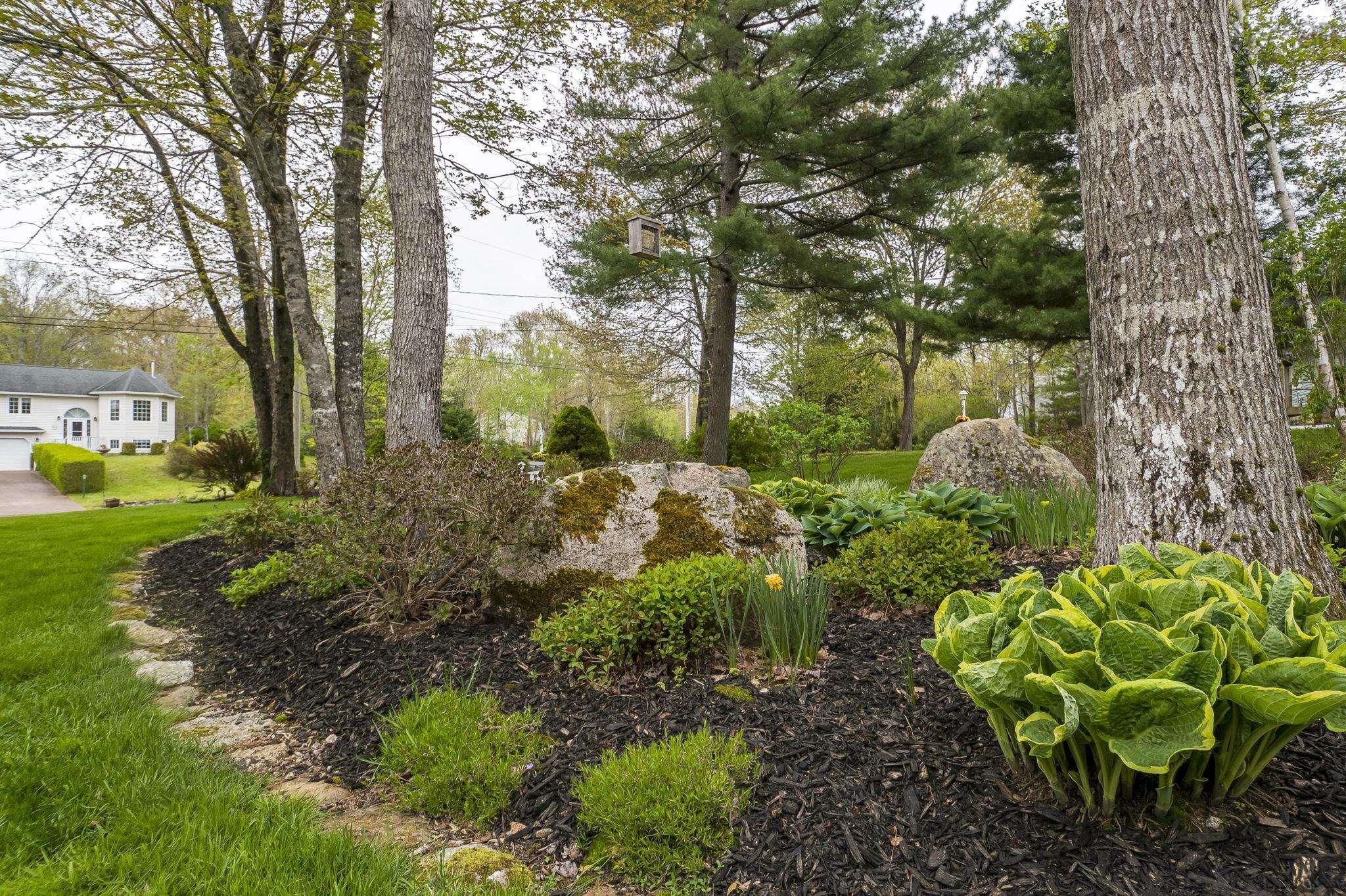 View image 42