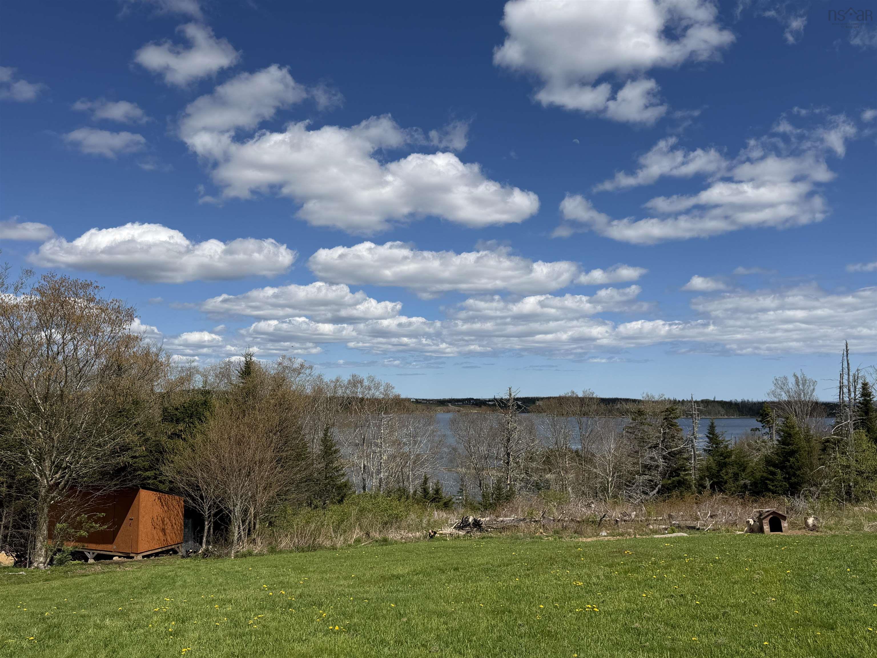 View image 41