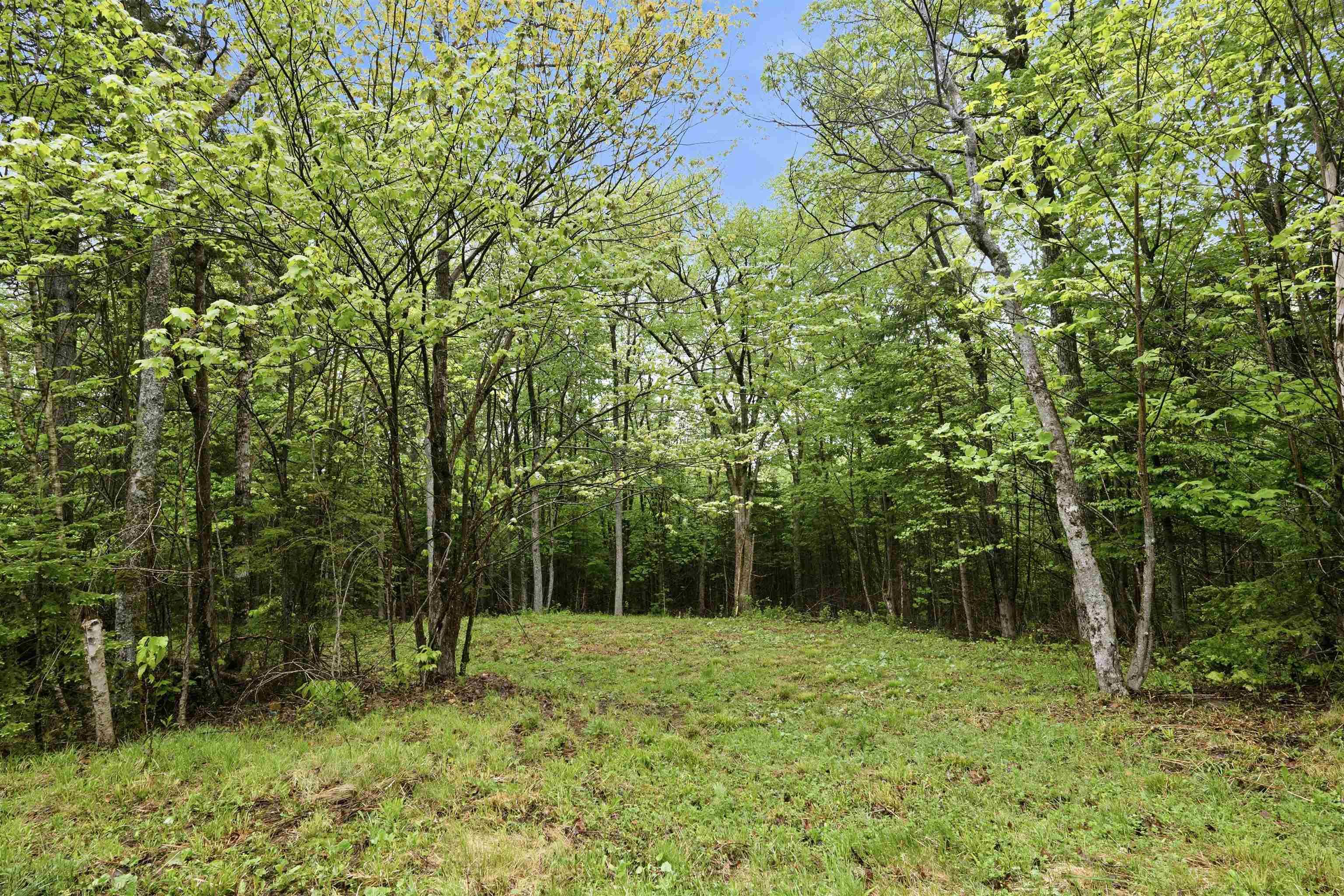 View image 47
