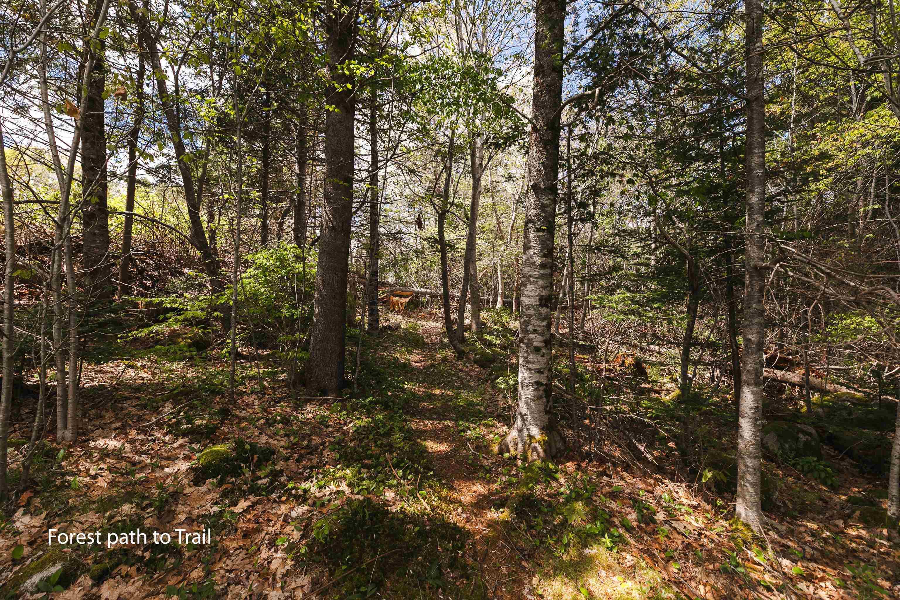 View image 36