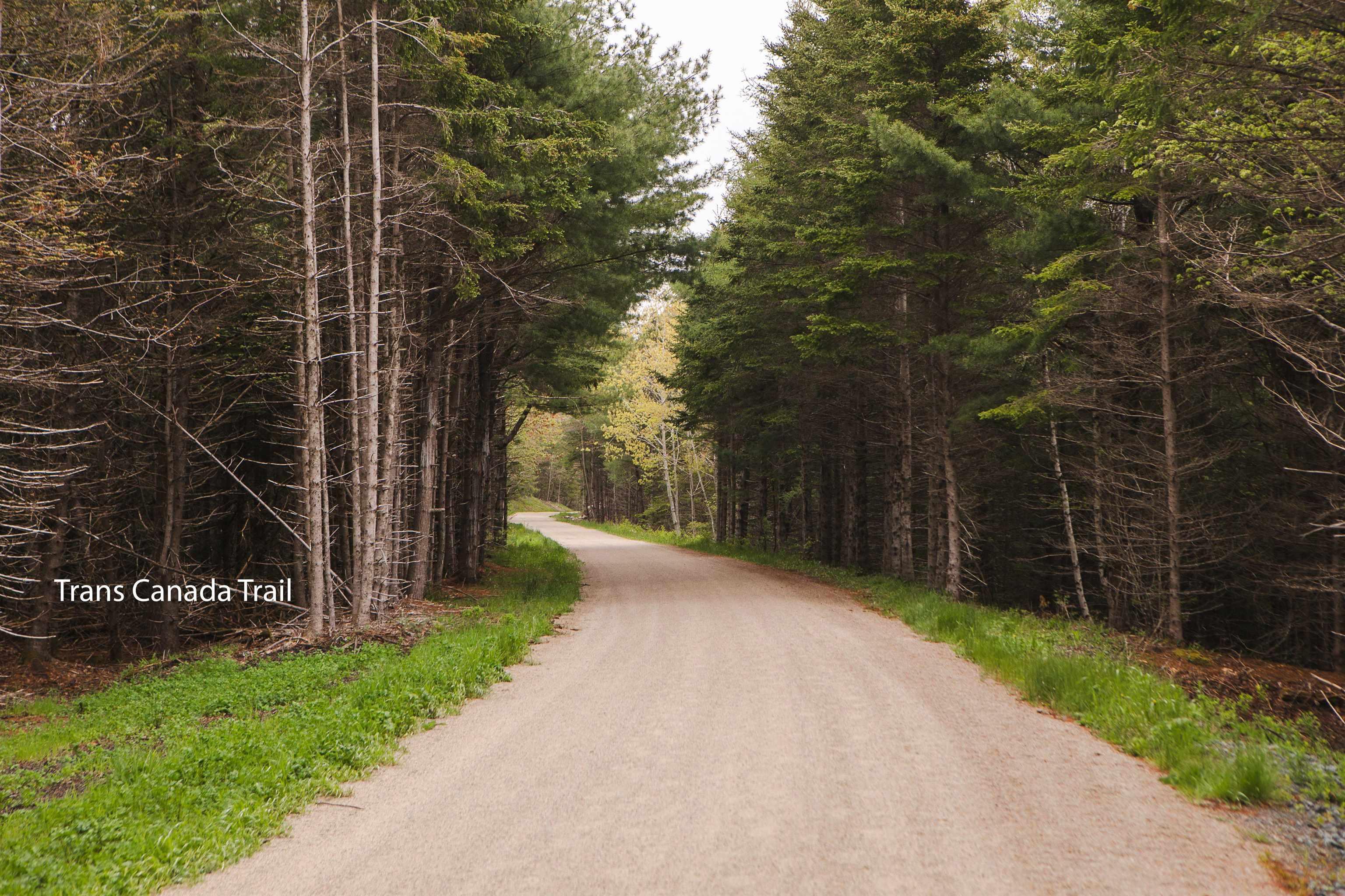 View image 44