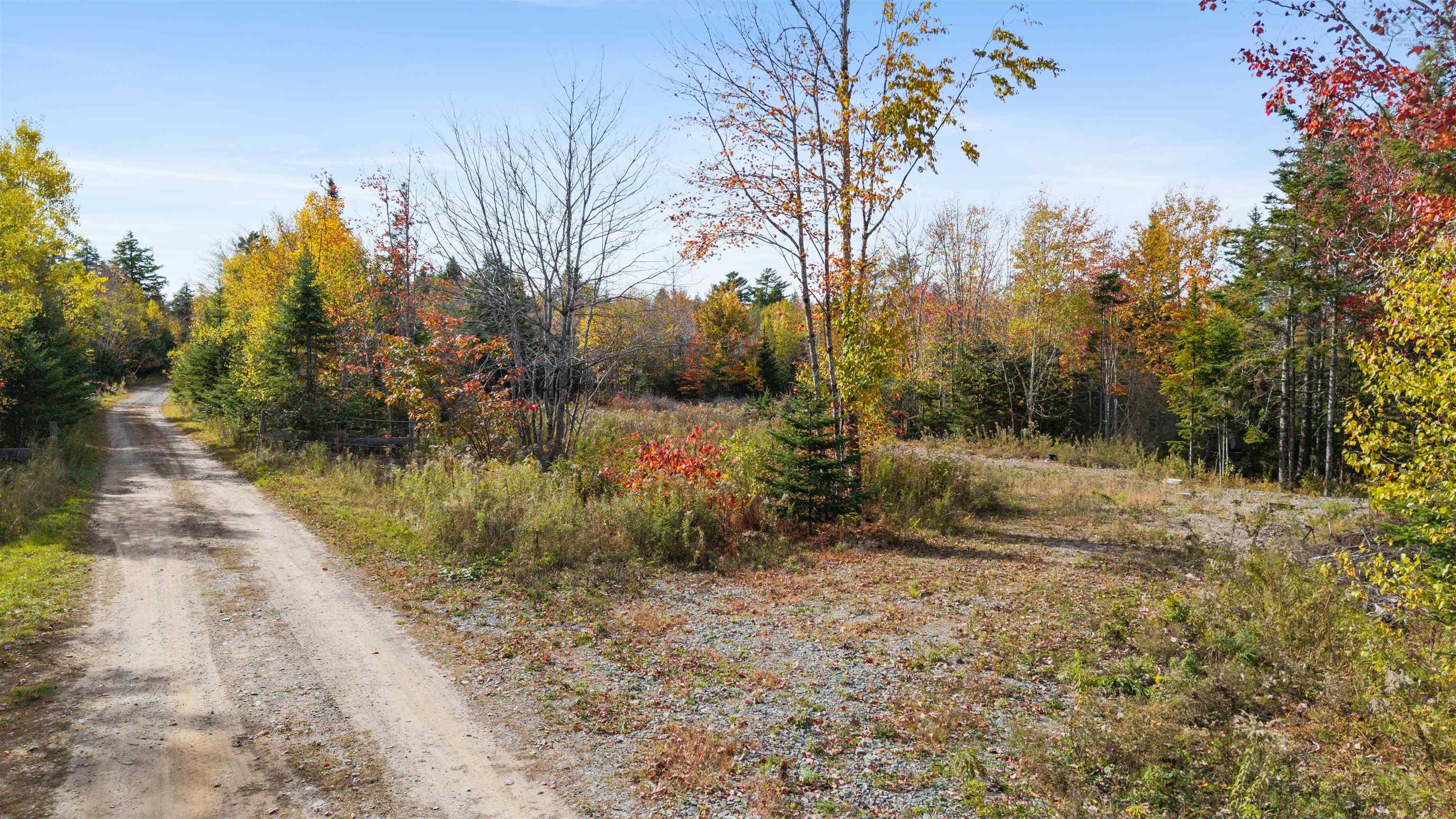 View image 6