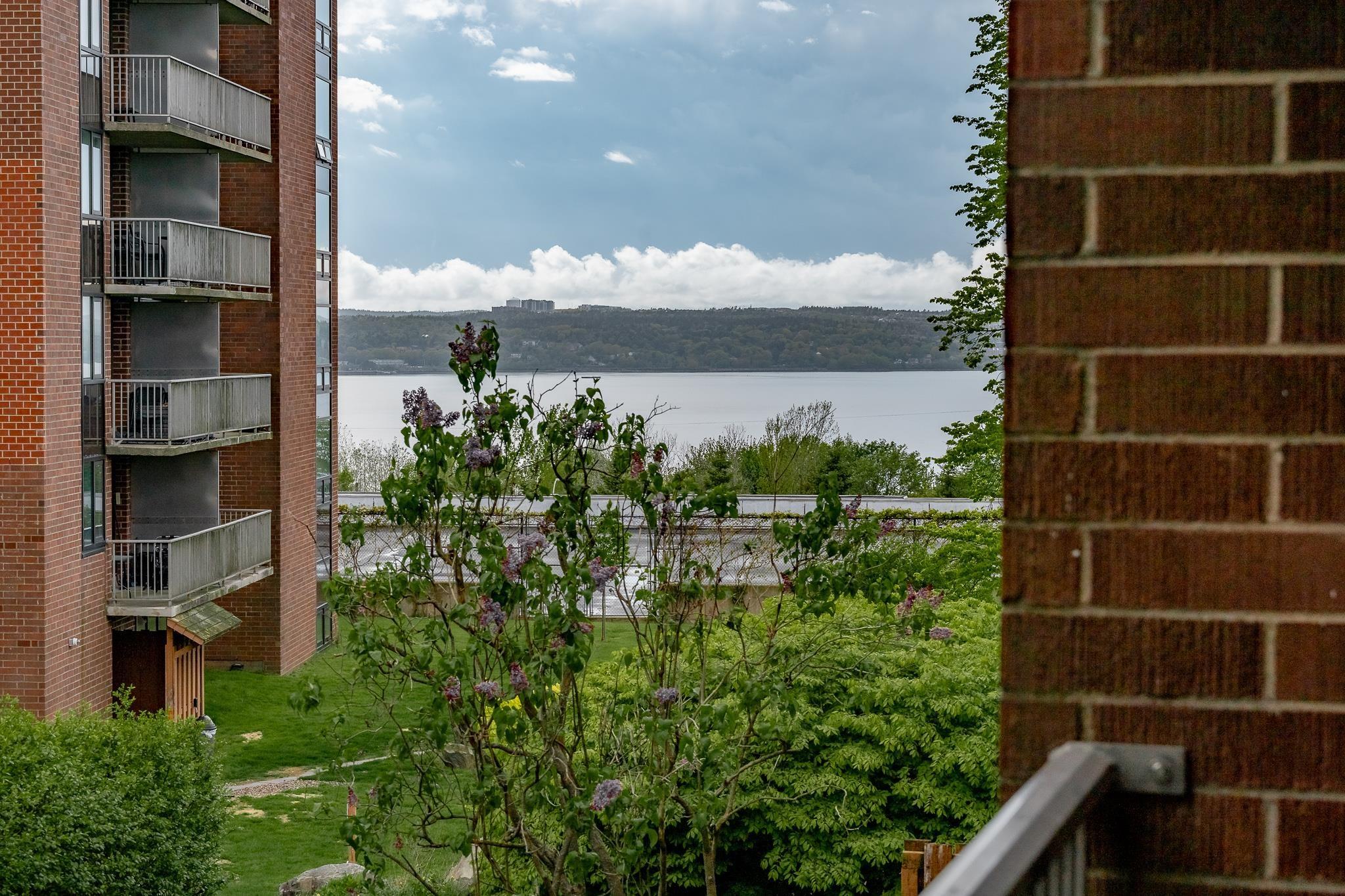 View image 11