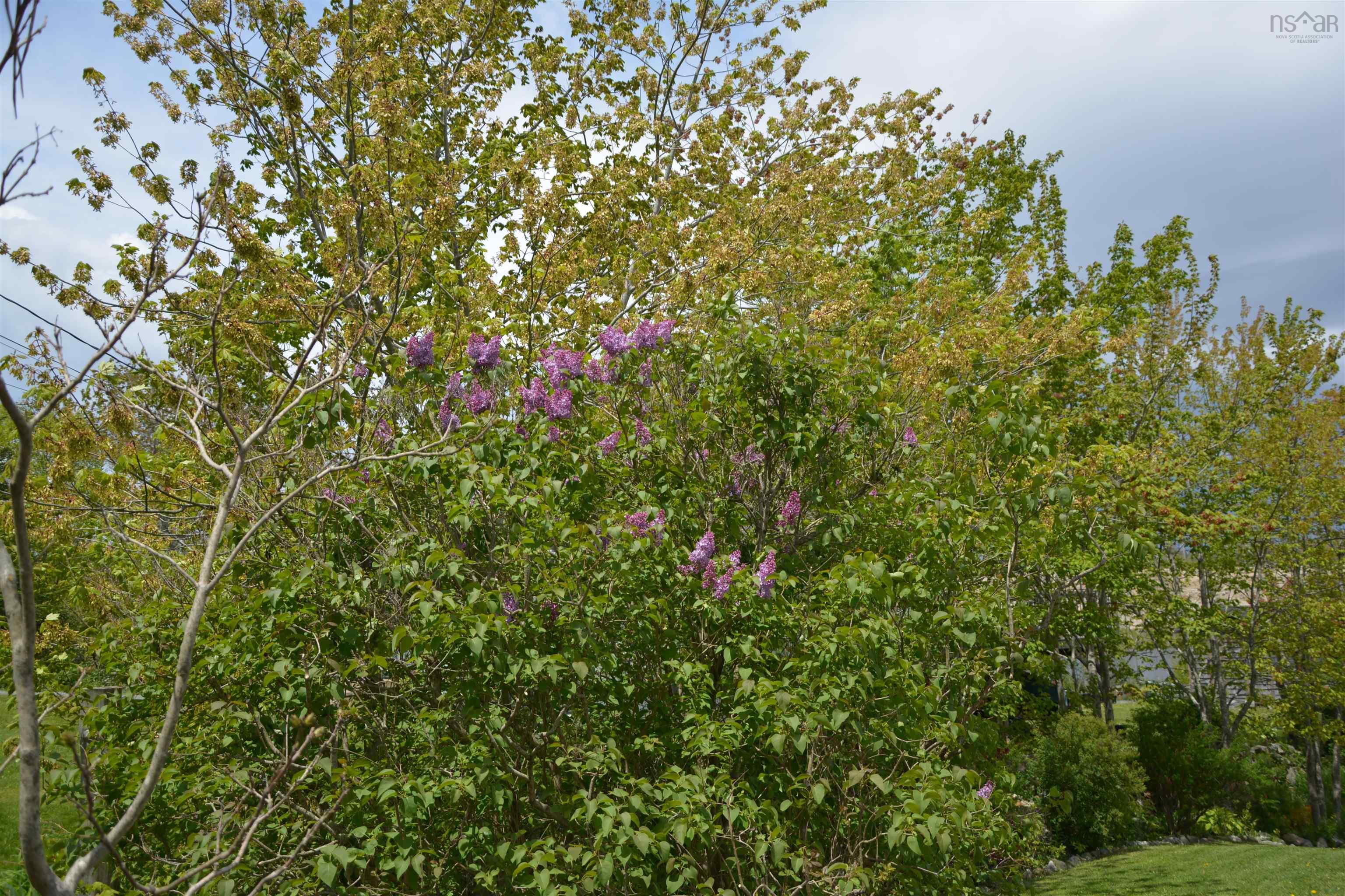 View image 29