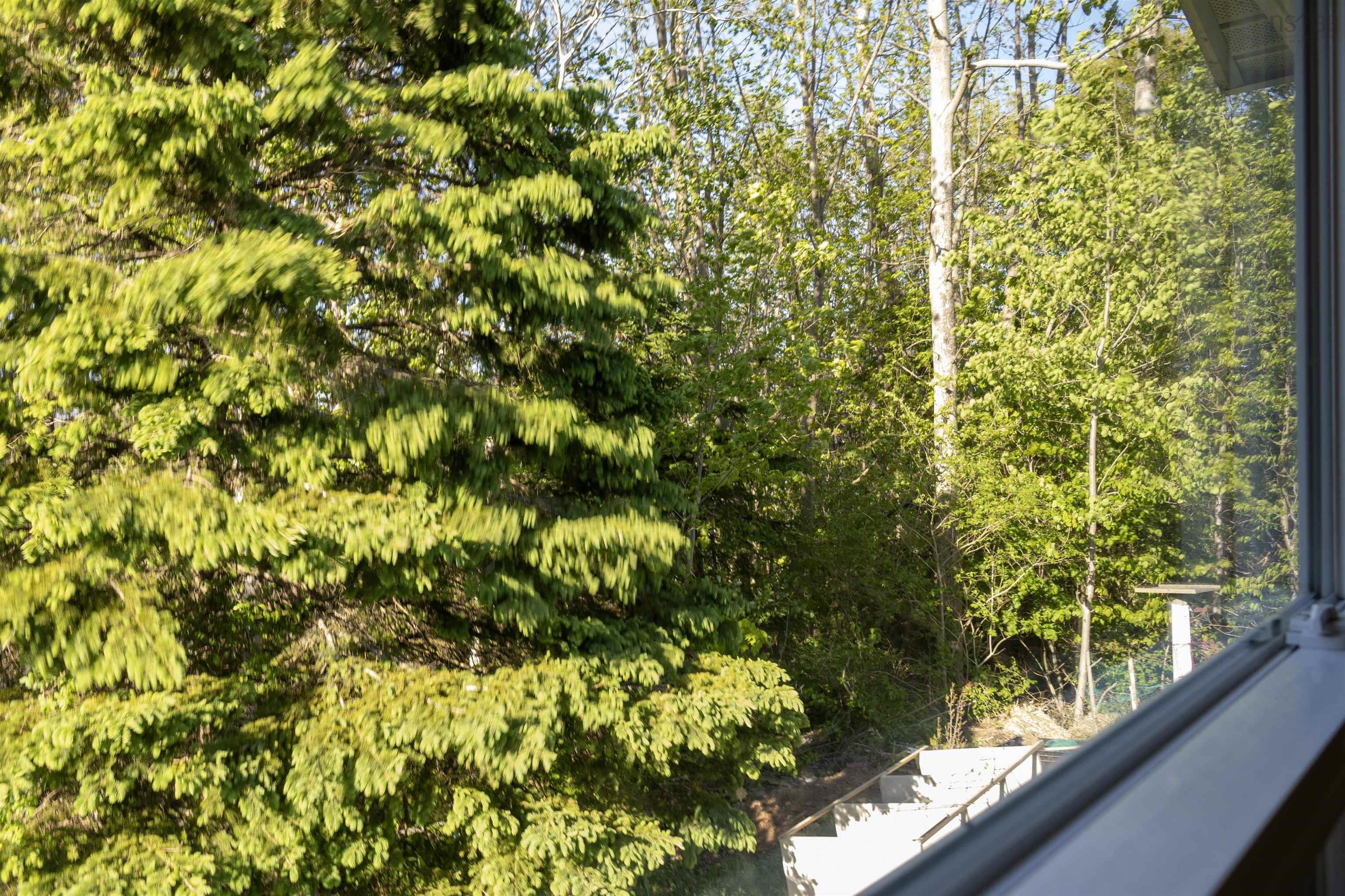 View image 17