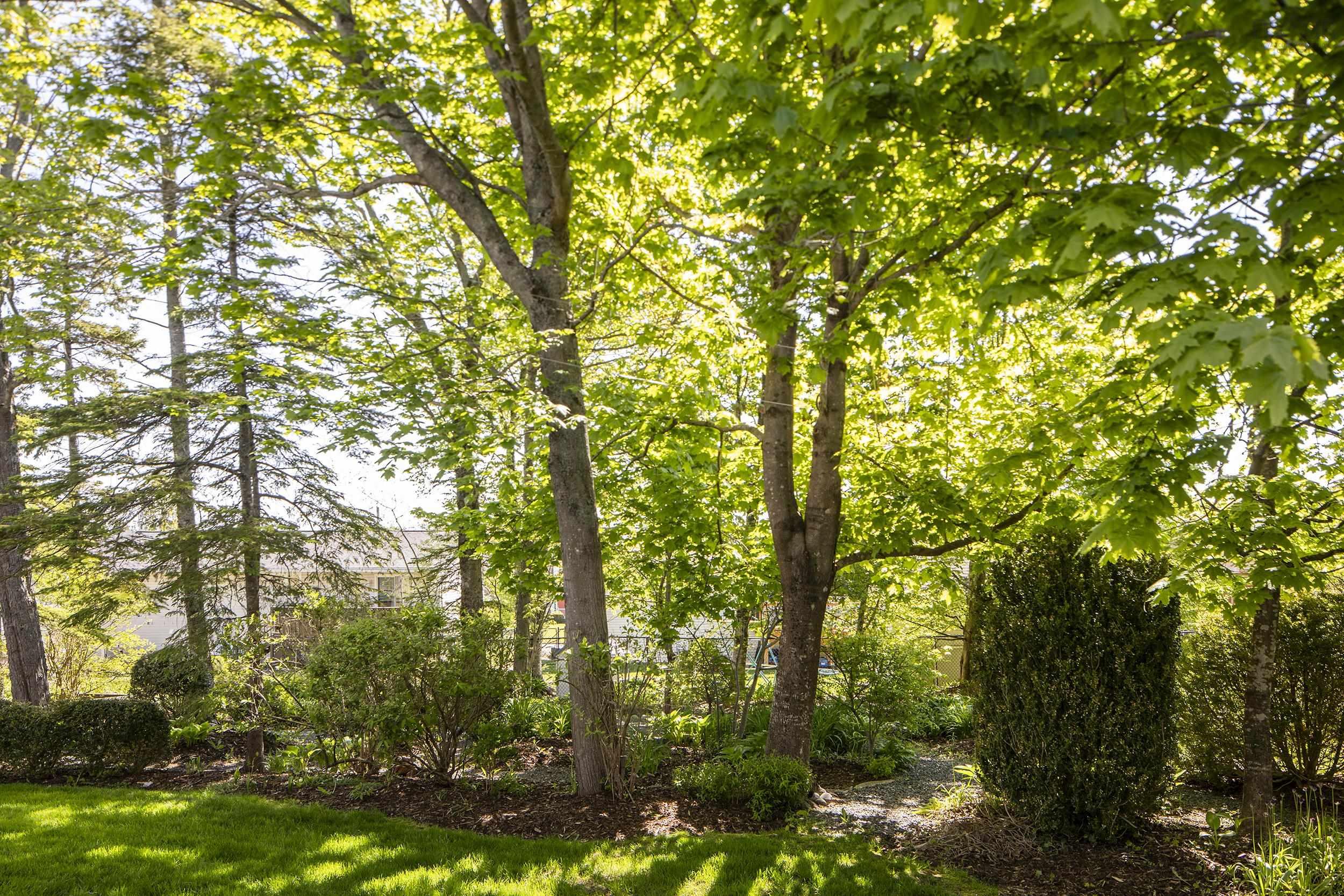 View image 38